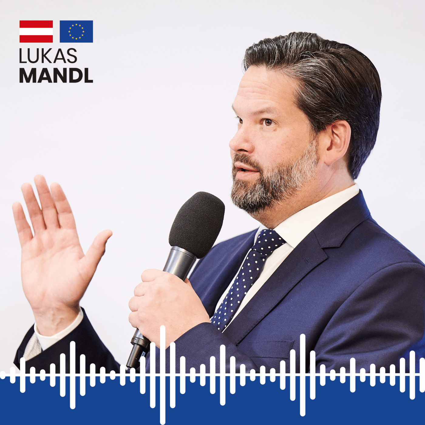 Mandl-Mikro podcast artwork