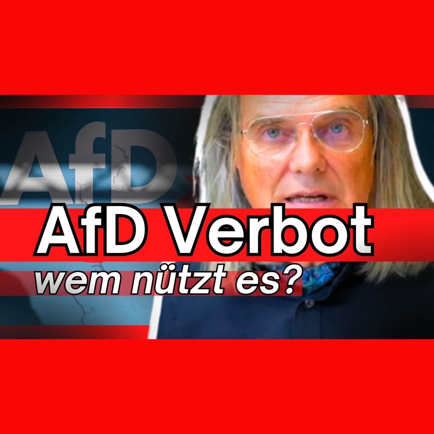 321. Die Verbotsstrategie gegen die AfD - Prof Rieck episode artwork