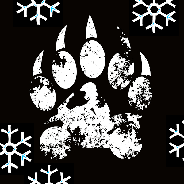 BEARcast #9 - WINTERSPECIAL episode artwork