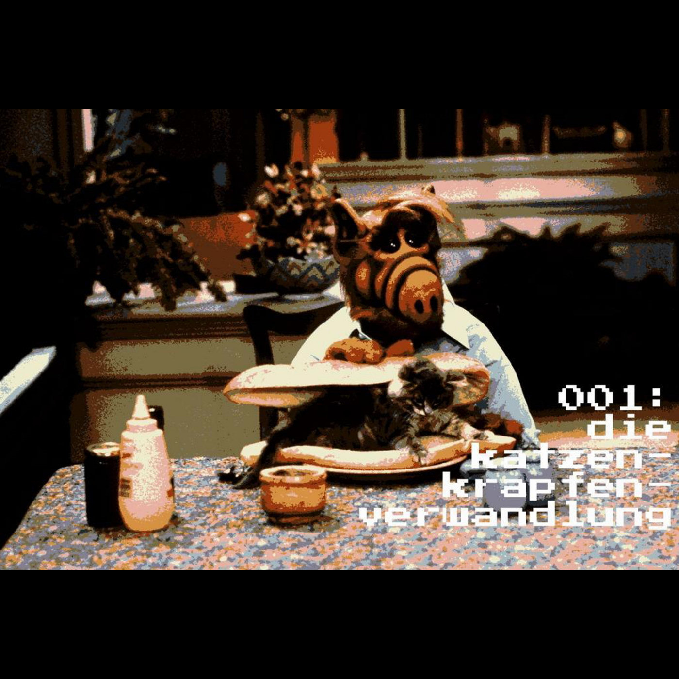 001: Die Katzen-Krapfen-Verwandlung episode artwork