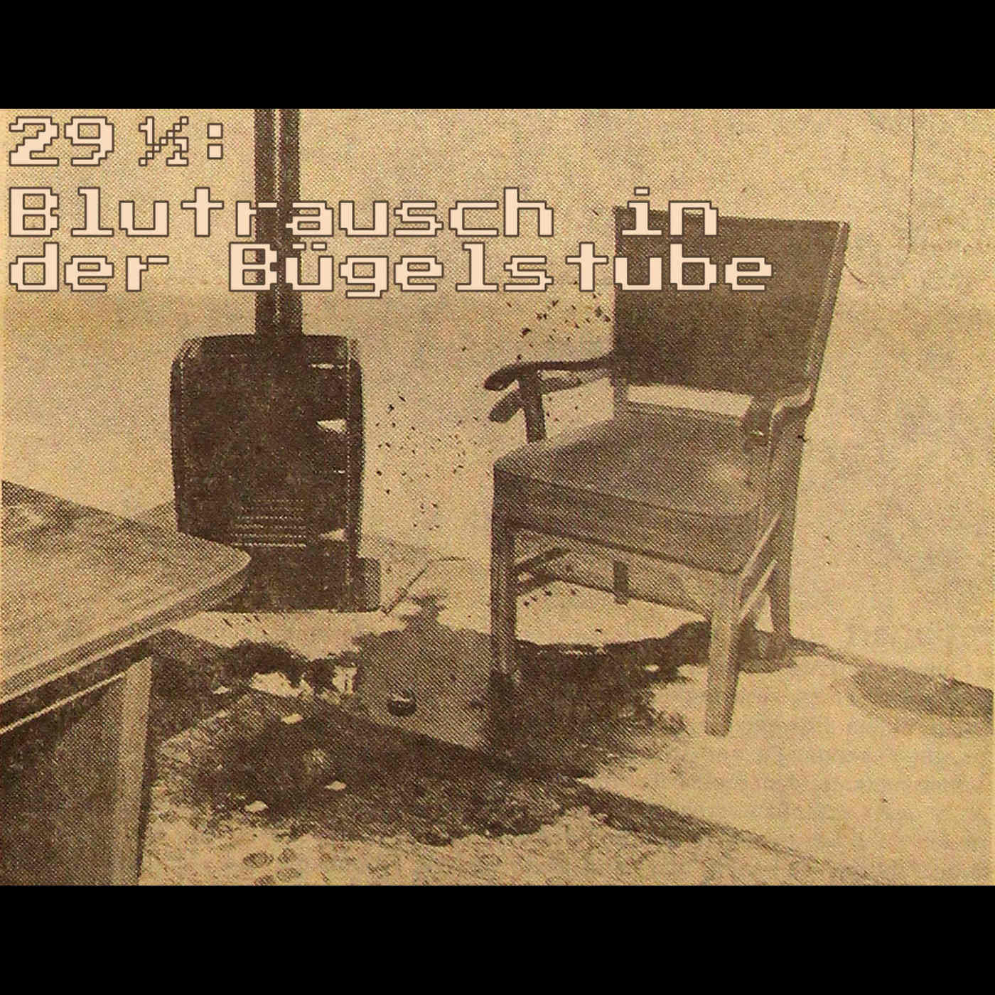 029½: Blutrausch in der Bügelstube episode artwork