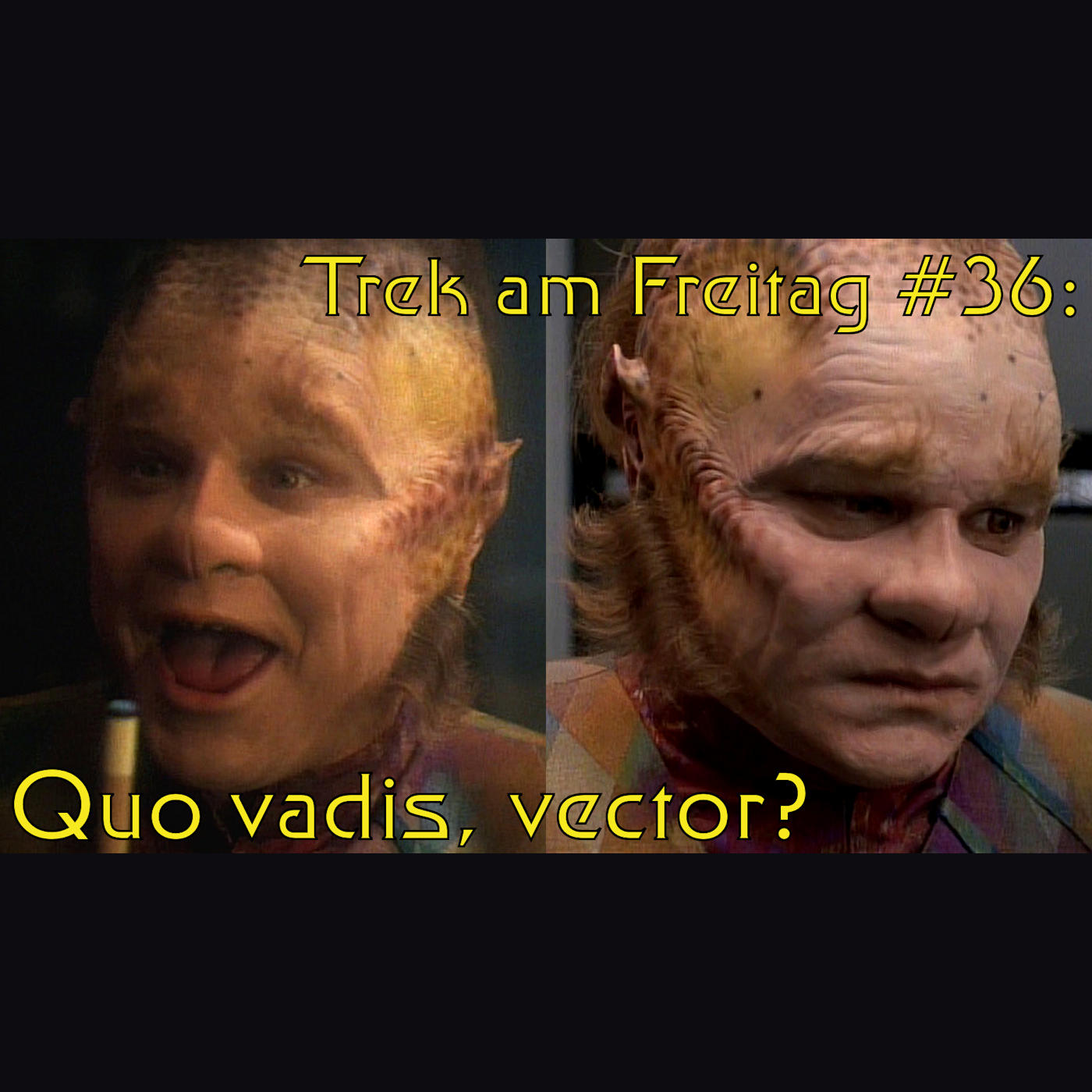 Trek am Freitag #36: Quo vadis, vector? episode artwork