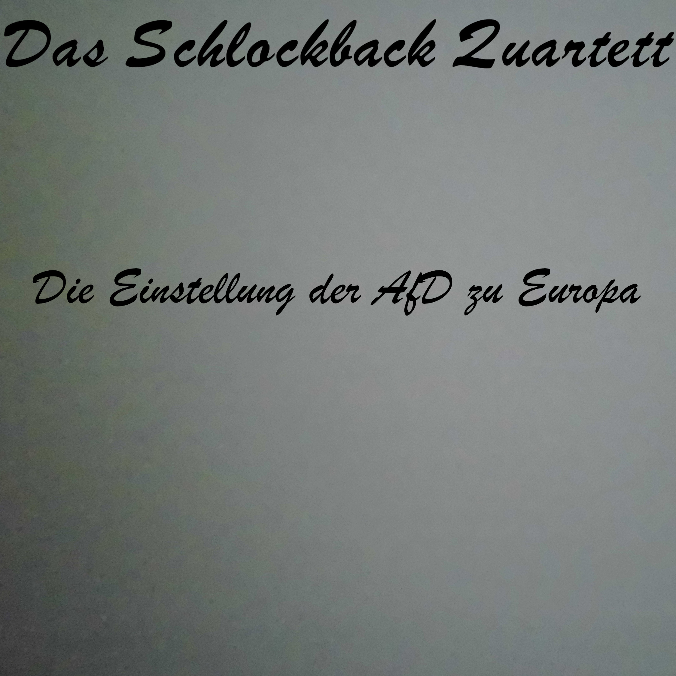 Die Einstellung der AfD zu Europa episode artwork