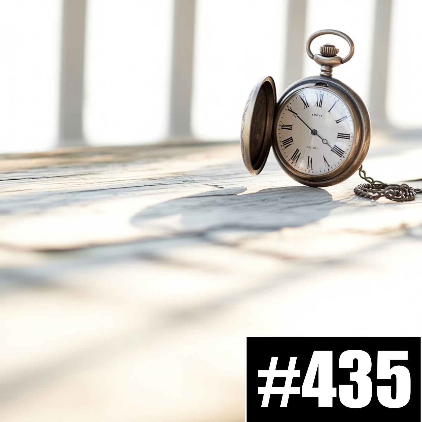 #435 Obessionen der deutschen Mehrheitsgesellschaft episode artwork