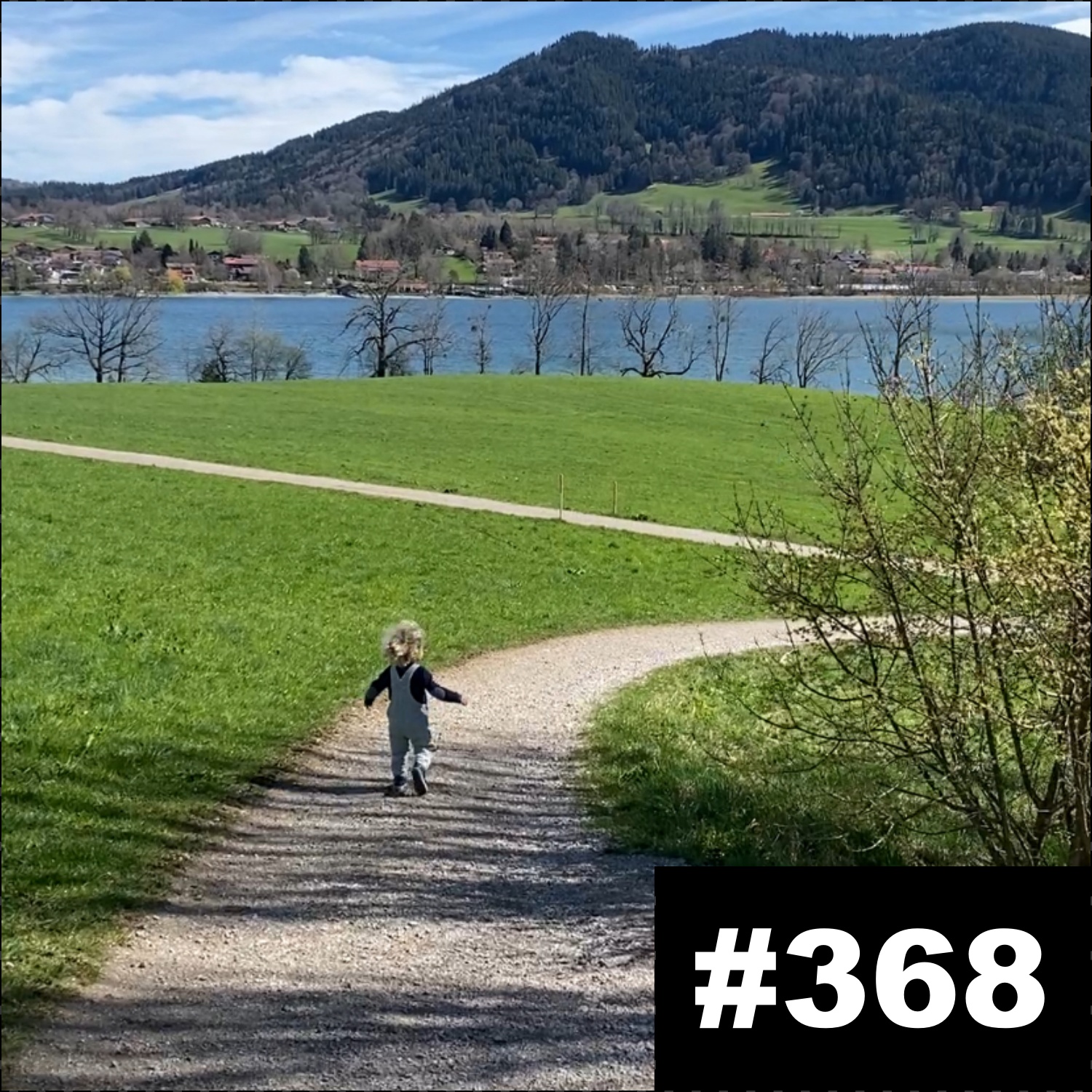 #368: Daddy Update (Das Wegbrechen der Kindermittelschicht) episode artwork