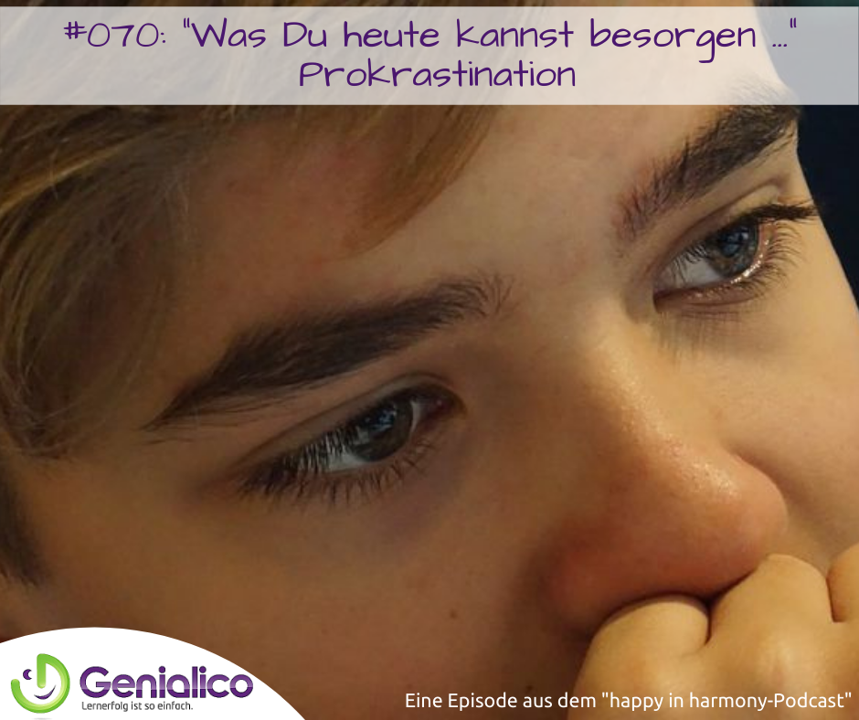 #070: Was Du heute kannst besorgen ... - Prokrastination episode artwork