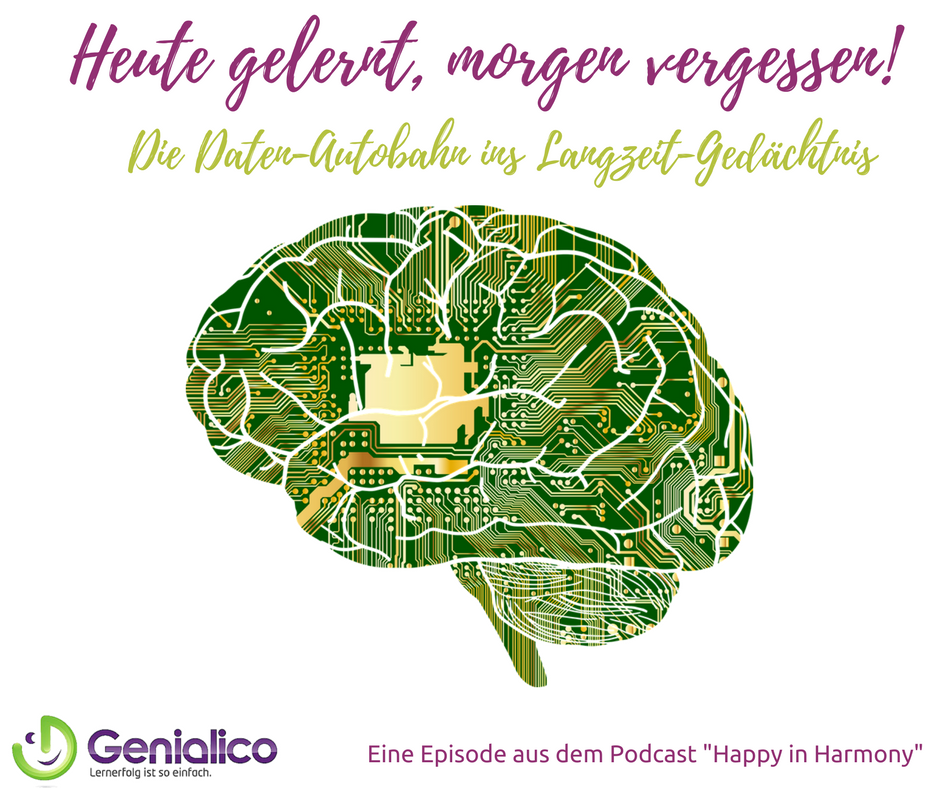 #031: Heute gelernt, morgen vergessen episode artwork