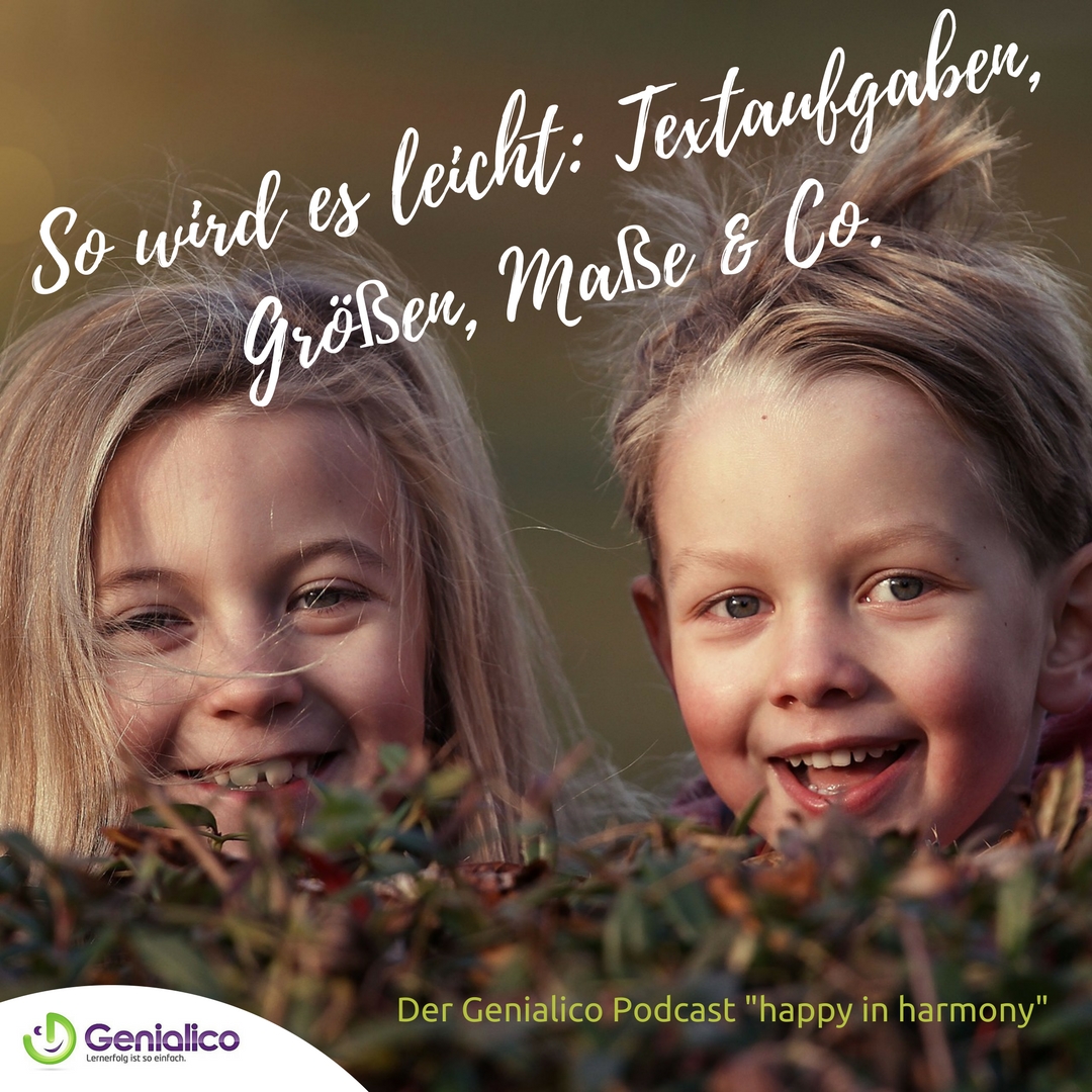 #003: Textaufgaben, Größen, Maße &amp; Co. - so wird's leicht episode artwork