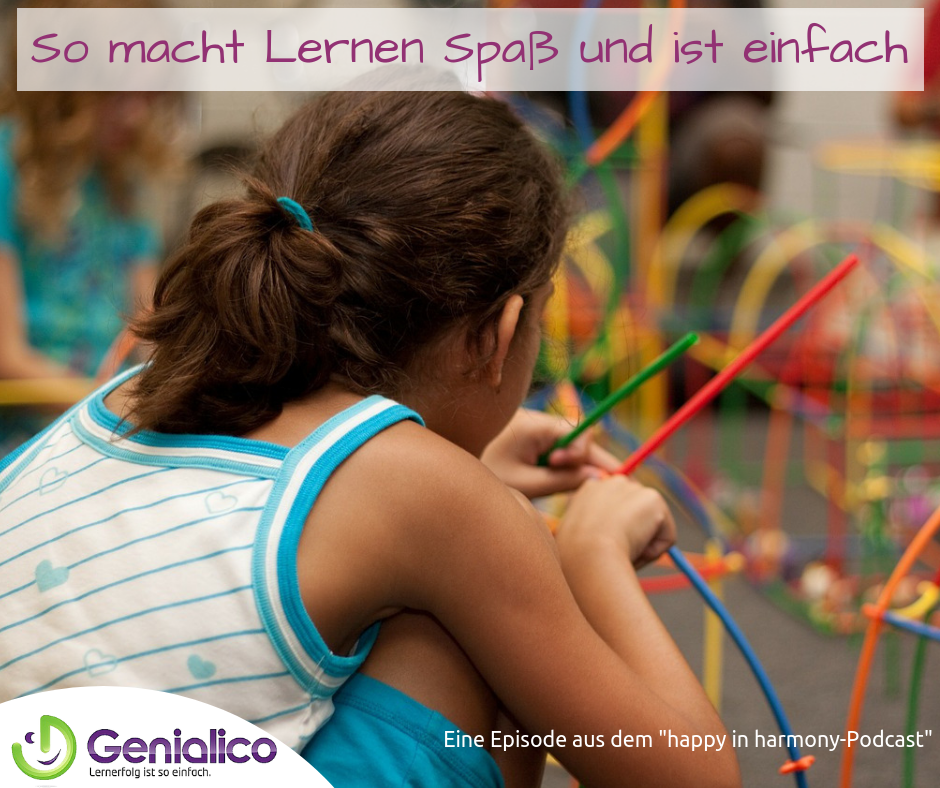 #043: So macht Lernen definitiv Spaß und ist einfach episode artwork