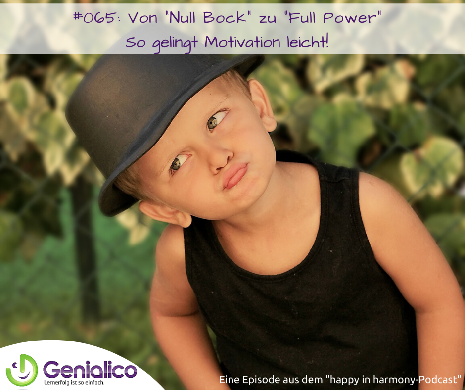 #065: Von "Null Bock" zu "Full Power" episode artwork
