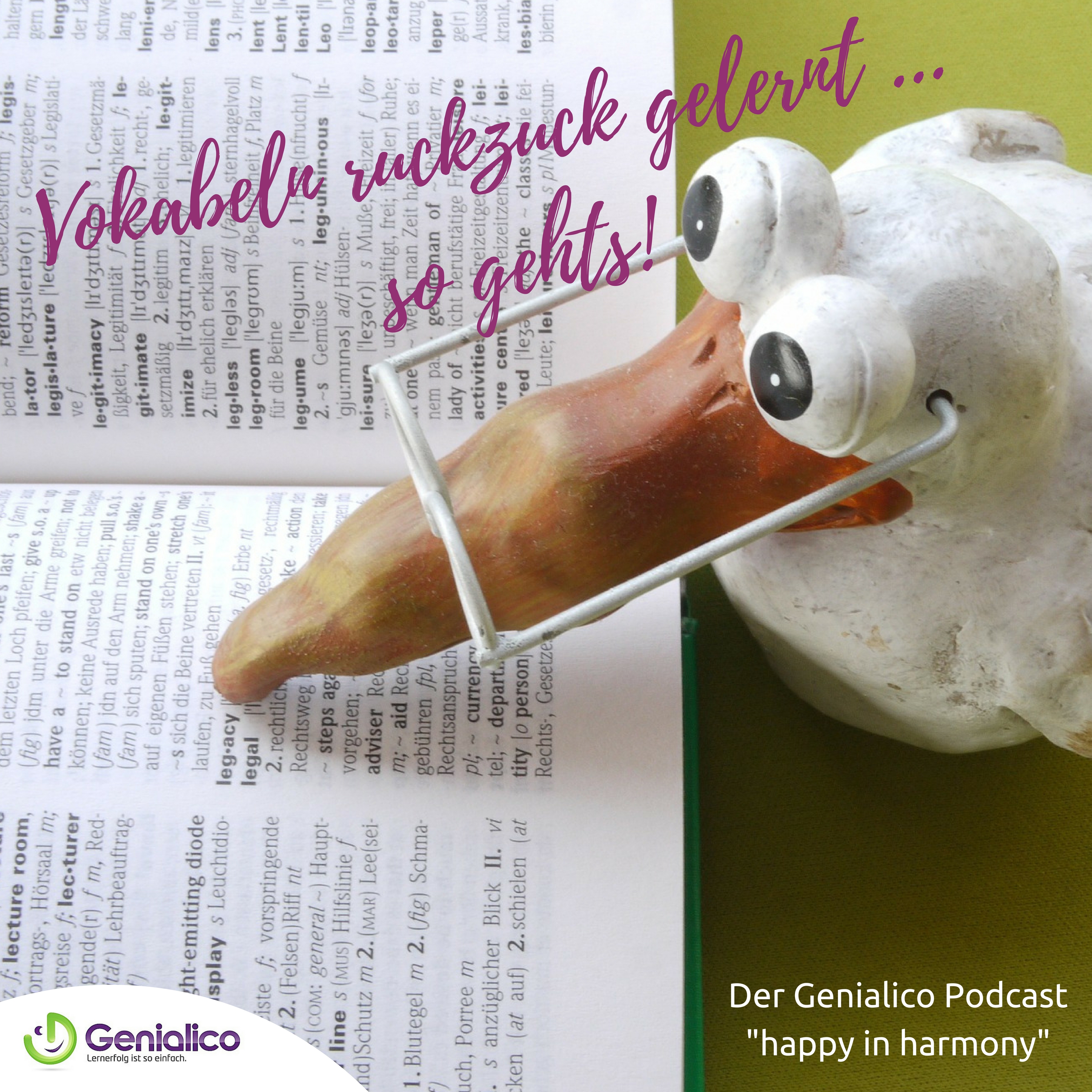 #006: Vokabeln ruckzuck lernen ... so gehts! episode artwork