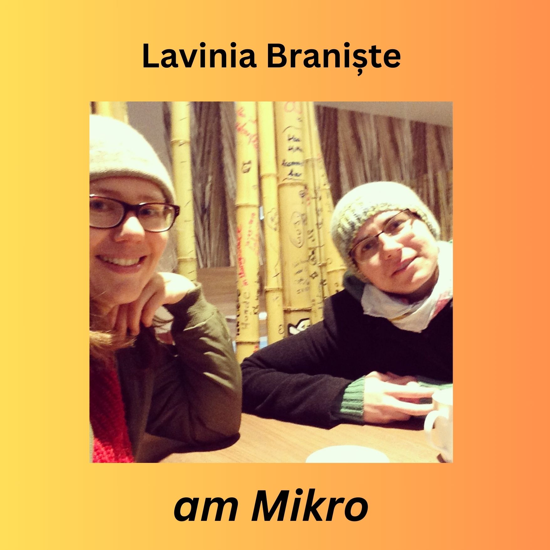 With the Romanian writer Lavinia Braniste about Bukarest and shyness episode artwork