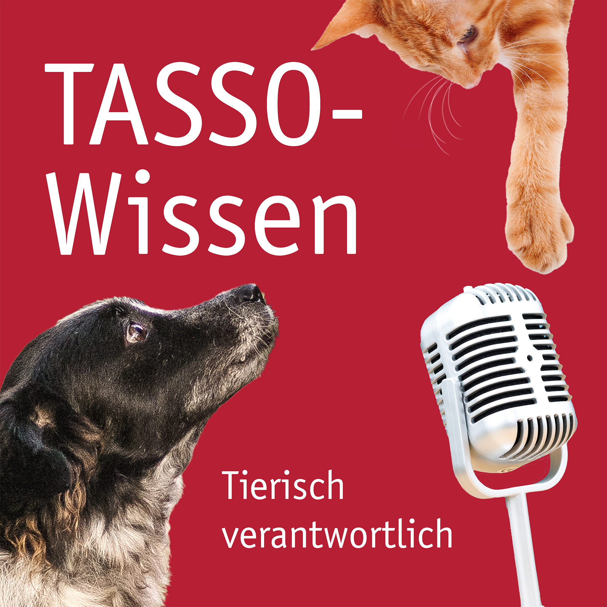 Spielen mit Tier episode artwork