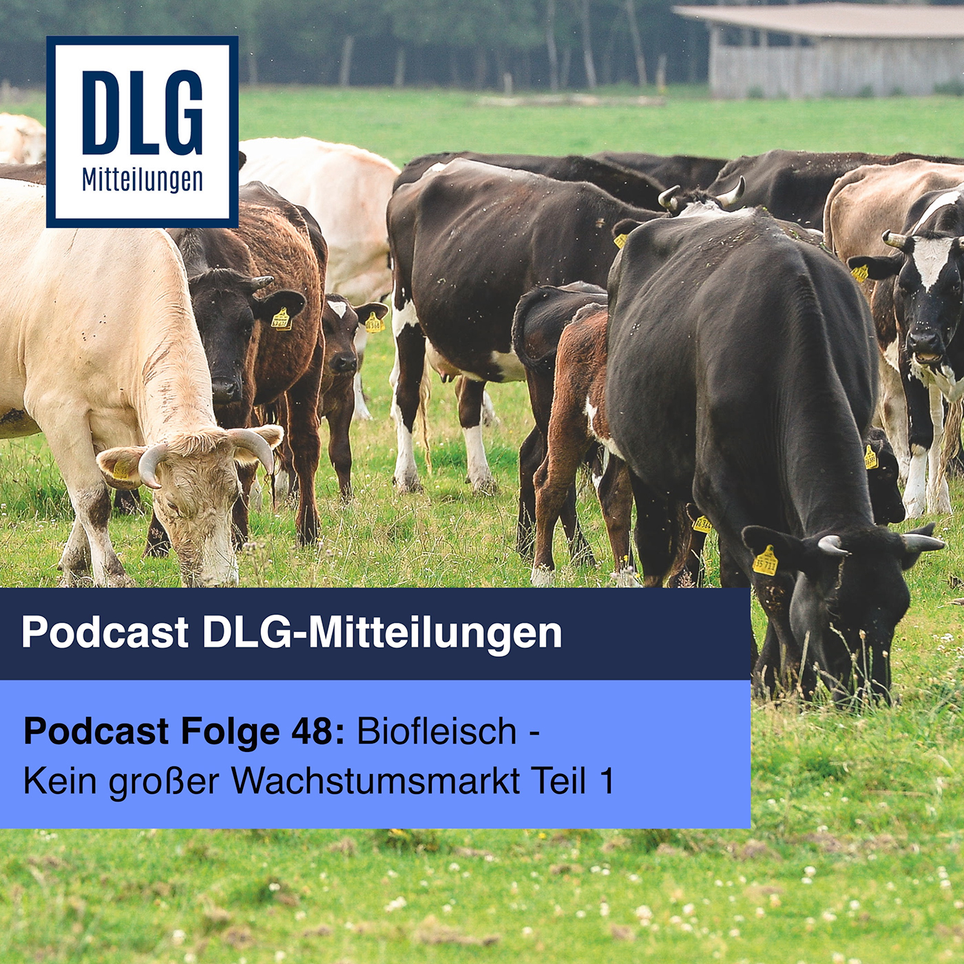 Biofleisch - Kein großer Wachstumsmarkt (Teil 1) episode artwork