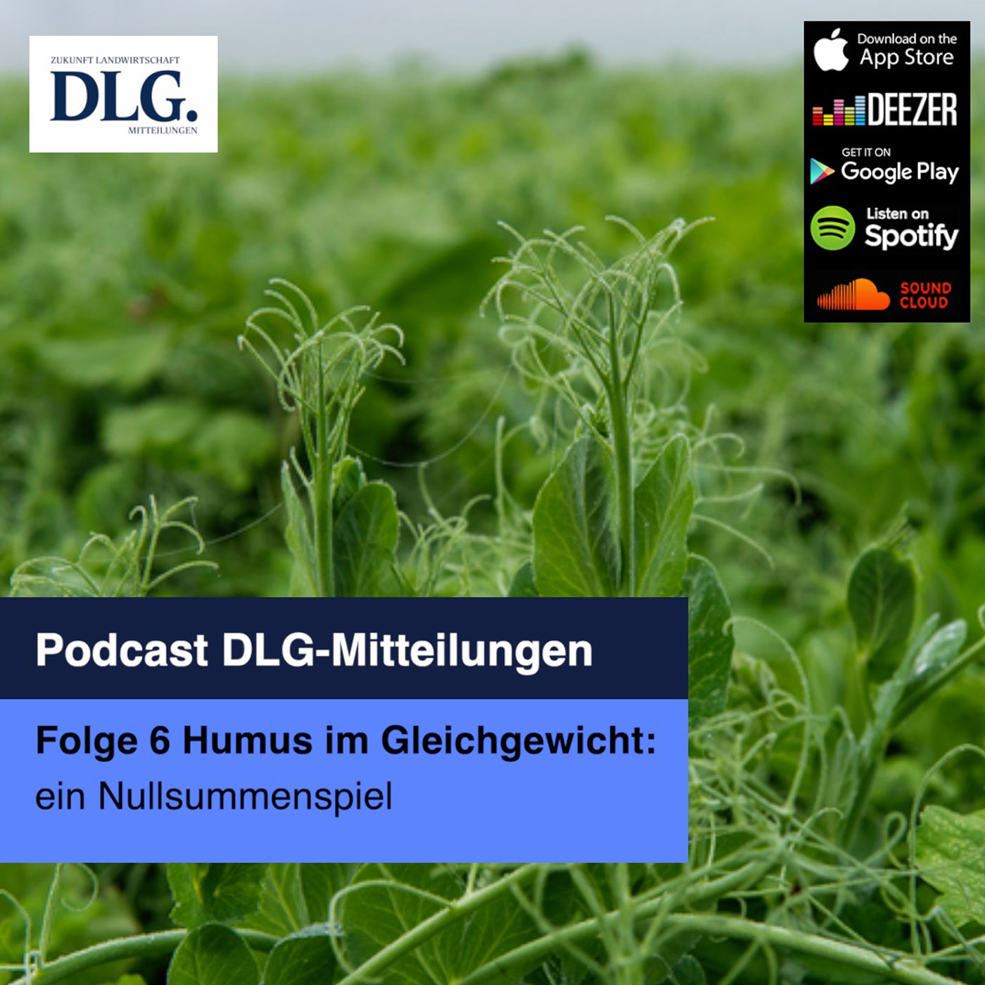 Humus im Gleichgewicht: Ein Nullsummenspiel episode artwork