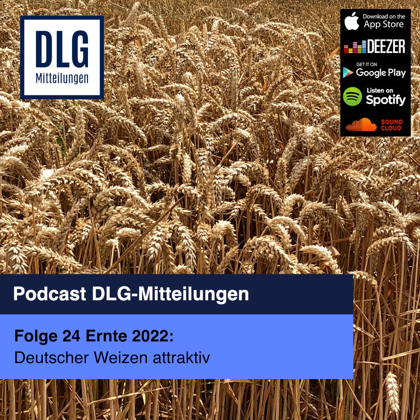 Erster Erntebericht 2022: Deutscher Weizen attraktiv episode artwork