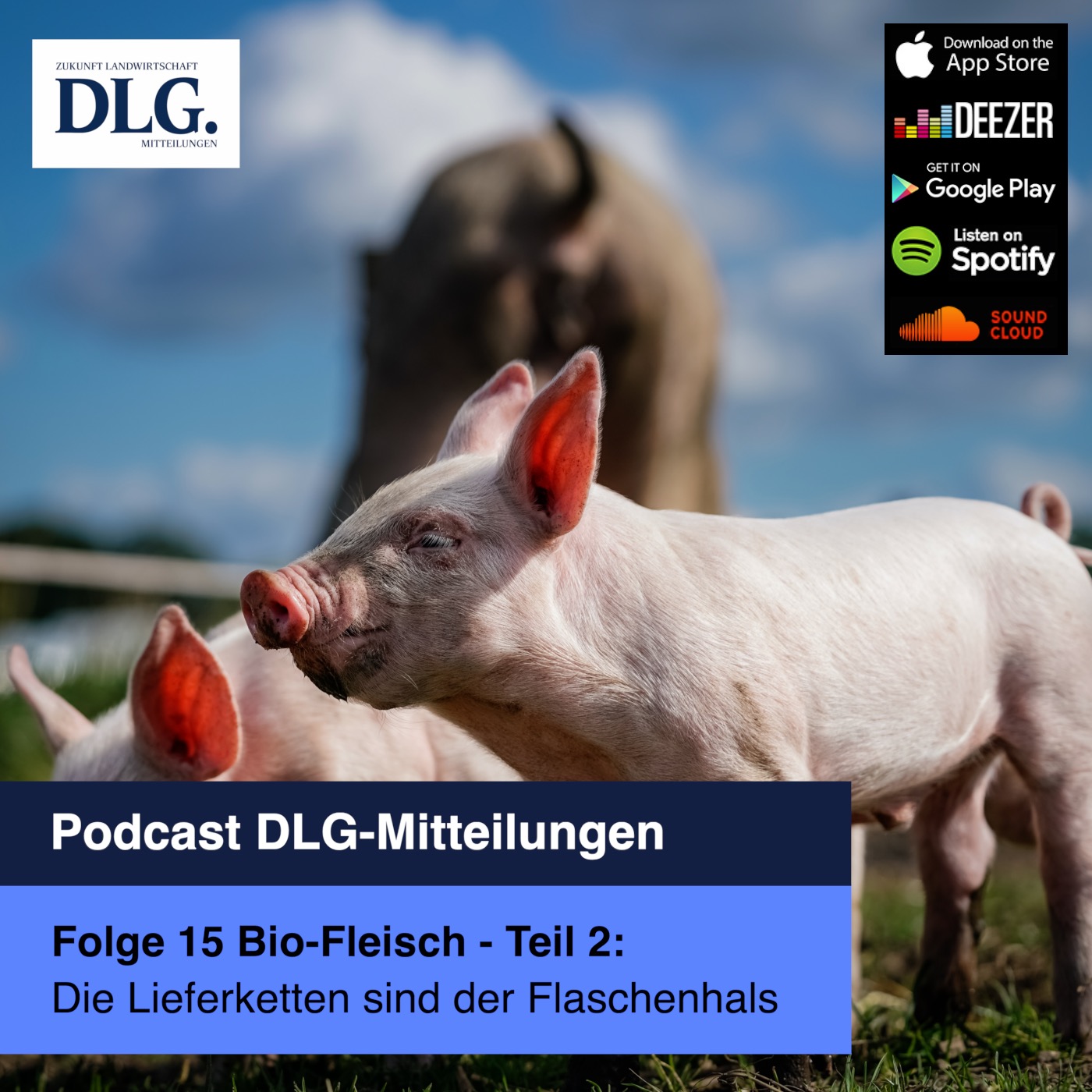 Bio-Fleisch: Die Lieferketten sind der Flaschenhals (Teil 2) episode artwork