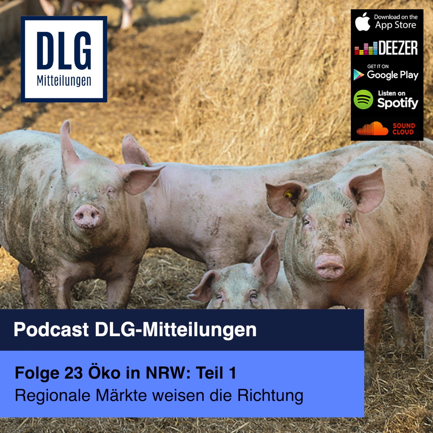 Öko in Nordrhein-Westfalen: Regionale Märkte weisen die Richtung (Teil 1) episode artwork