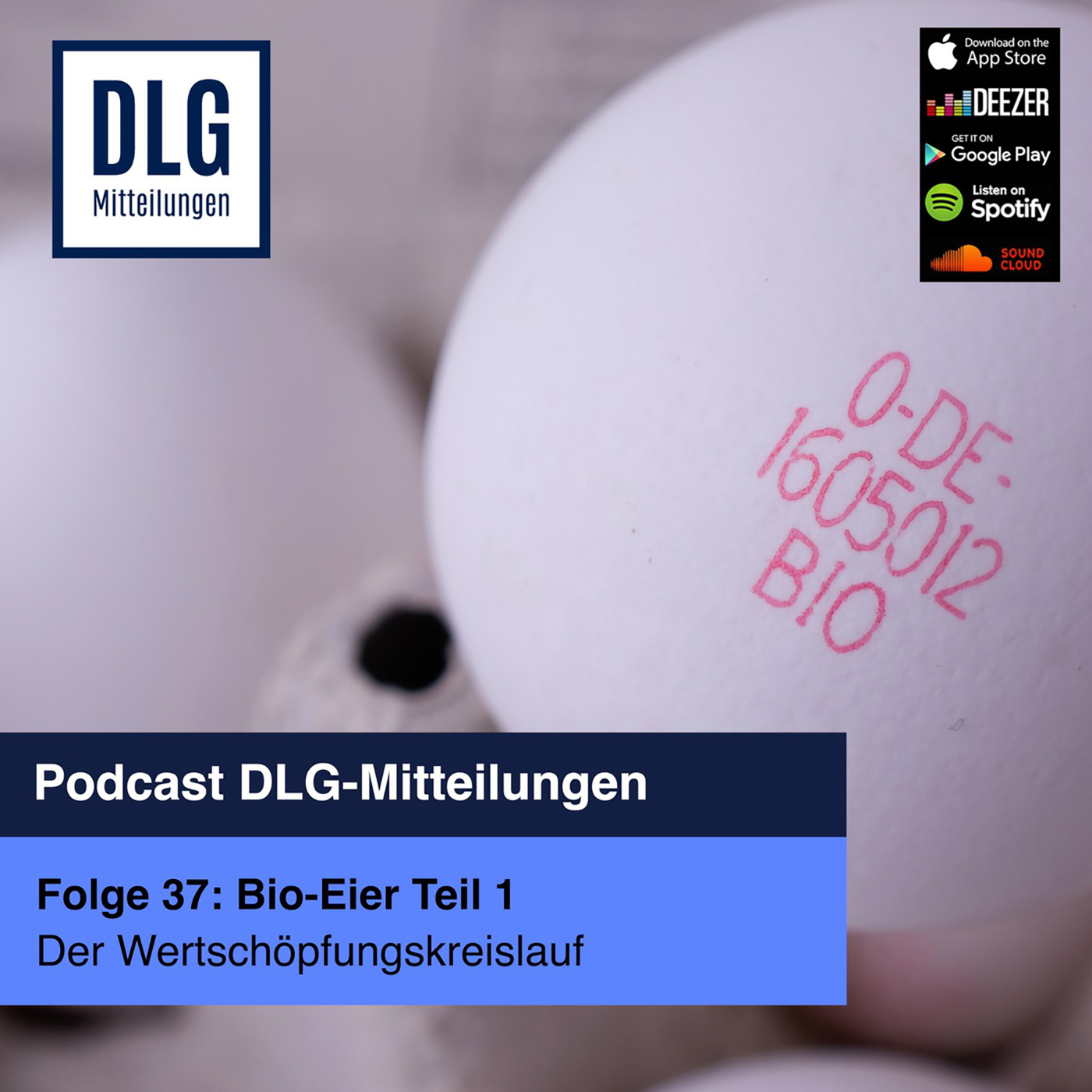Folge 37: Bio-Eier - Der Wertschöpfungskreislauf (Teil 1) episode artwork