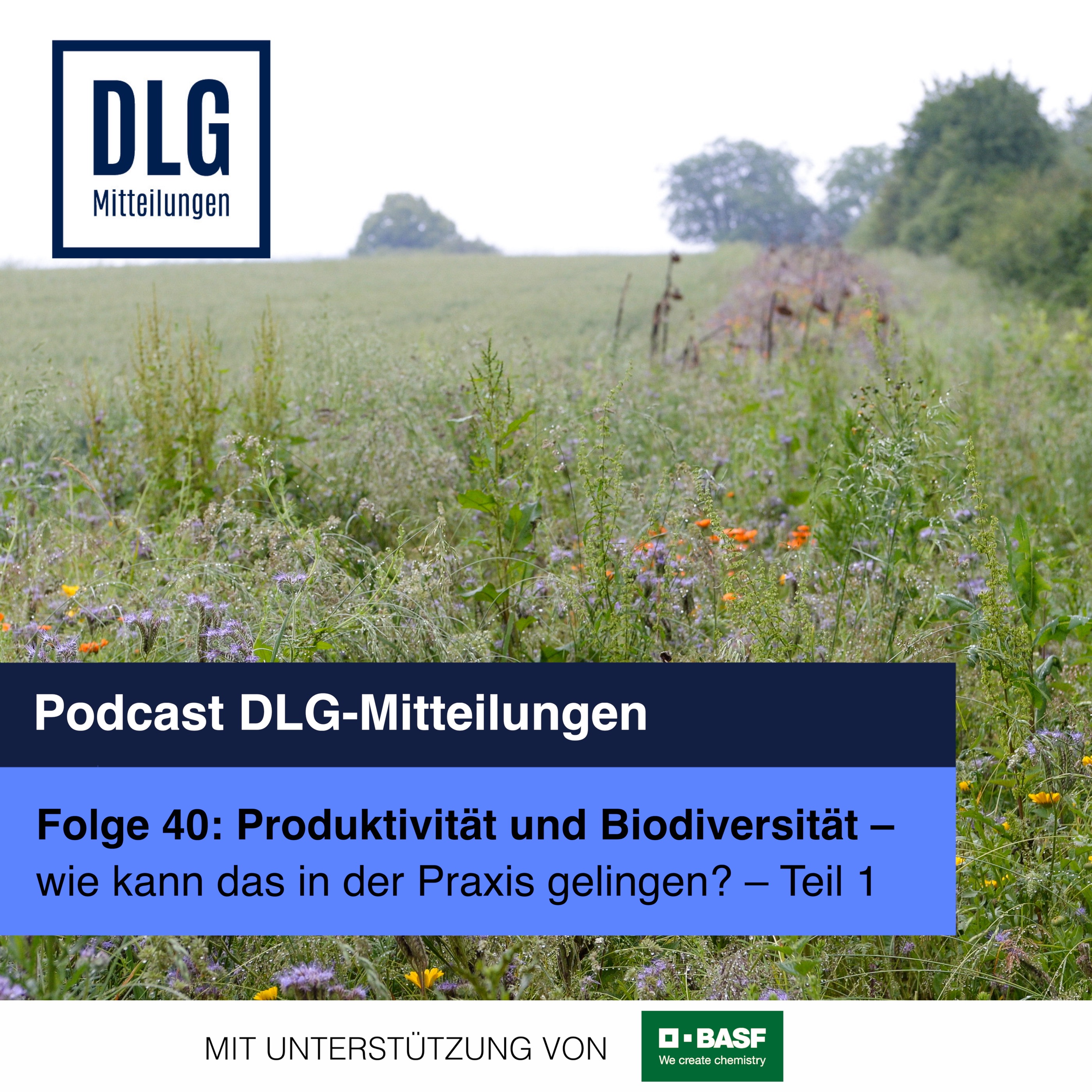 Folge 40: Produktivität und Biodiversität - Wie kann das in der Praxis gelingen? (Teil 1) episode artwork