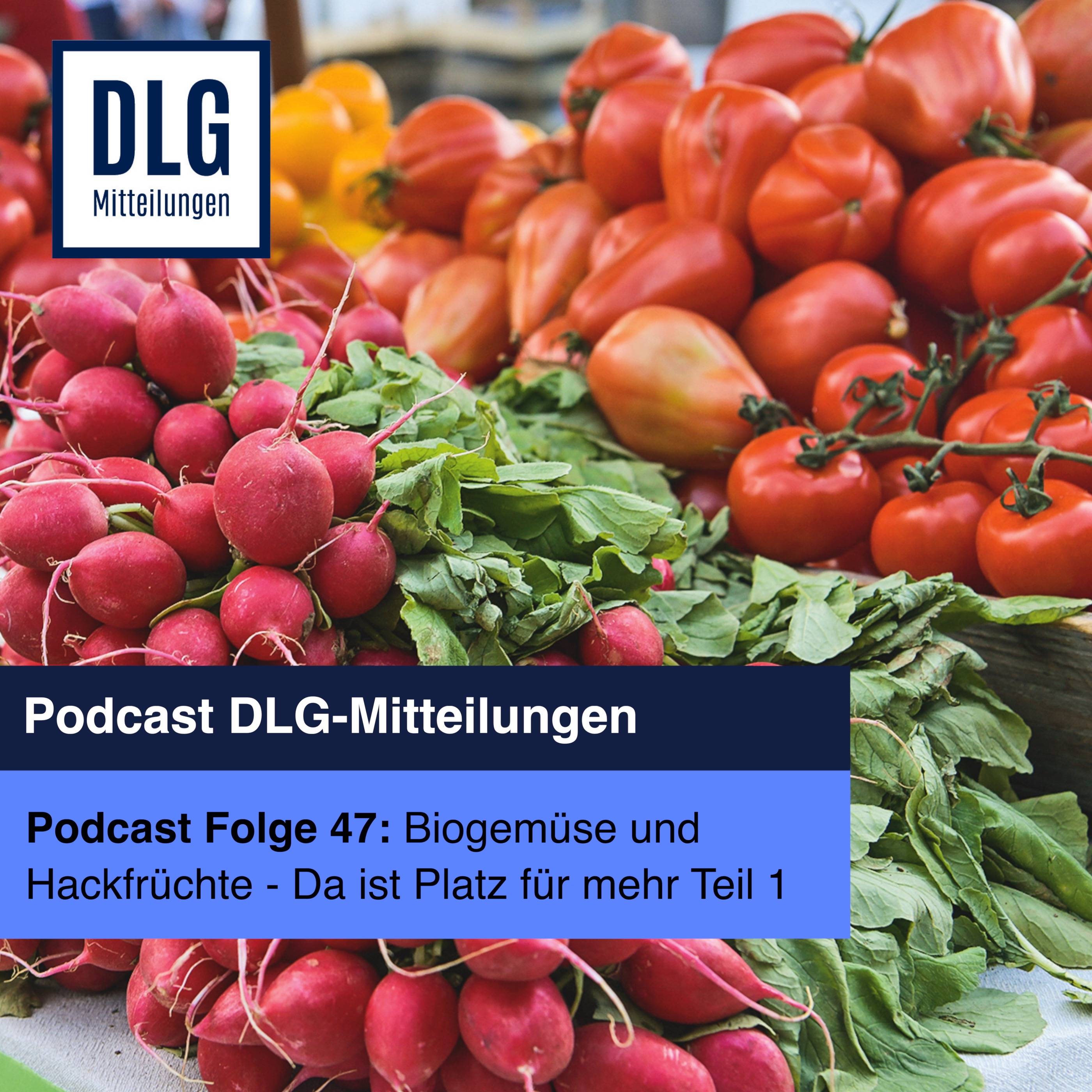 Biogemüse und Hackfrüchte: Da ist Platz für mehr - Folge 1 episode artwork