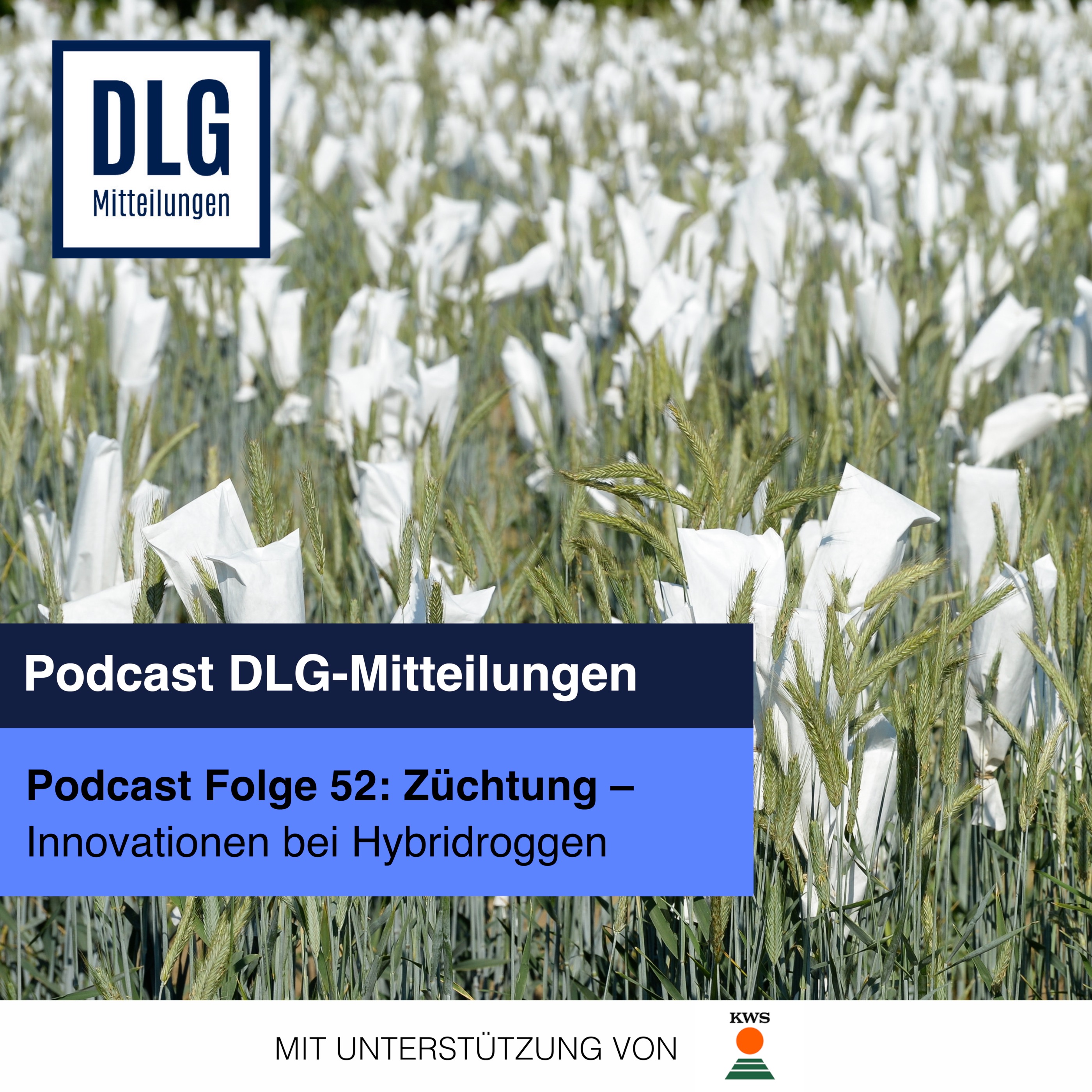 Züchtung. Innovationen bei Hybridroggen episode artwork
