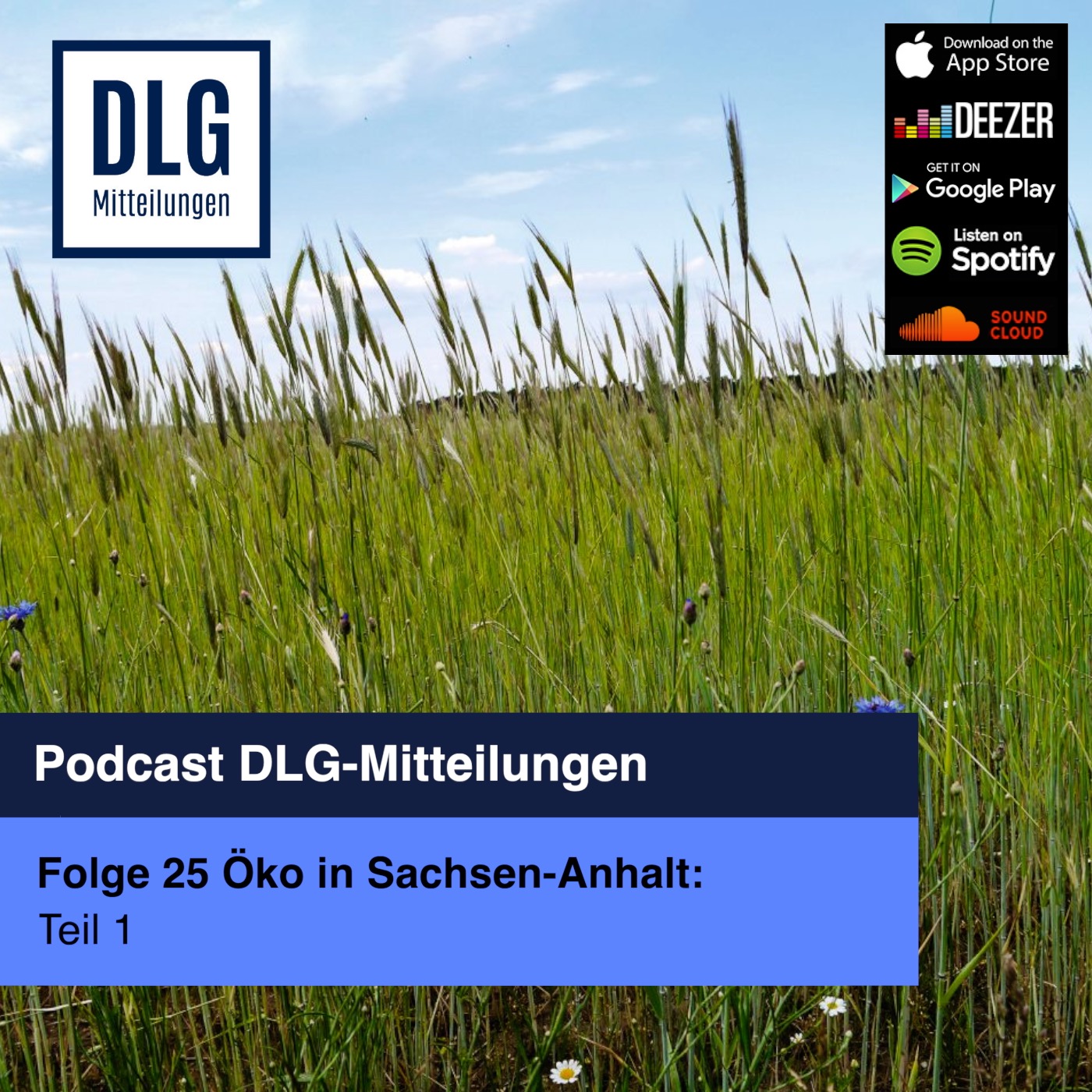 Öko in Sachsen-Anhalt: Knappes Wasser spricht für die Umstellung (Teil 1) episode artwork