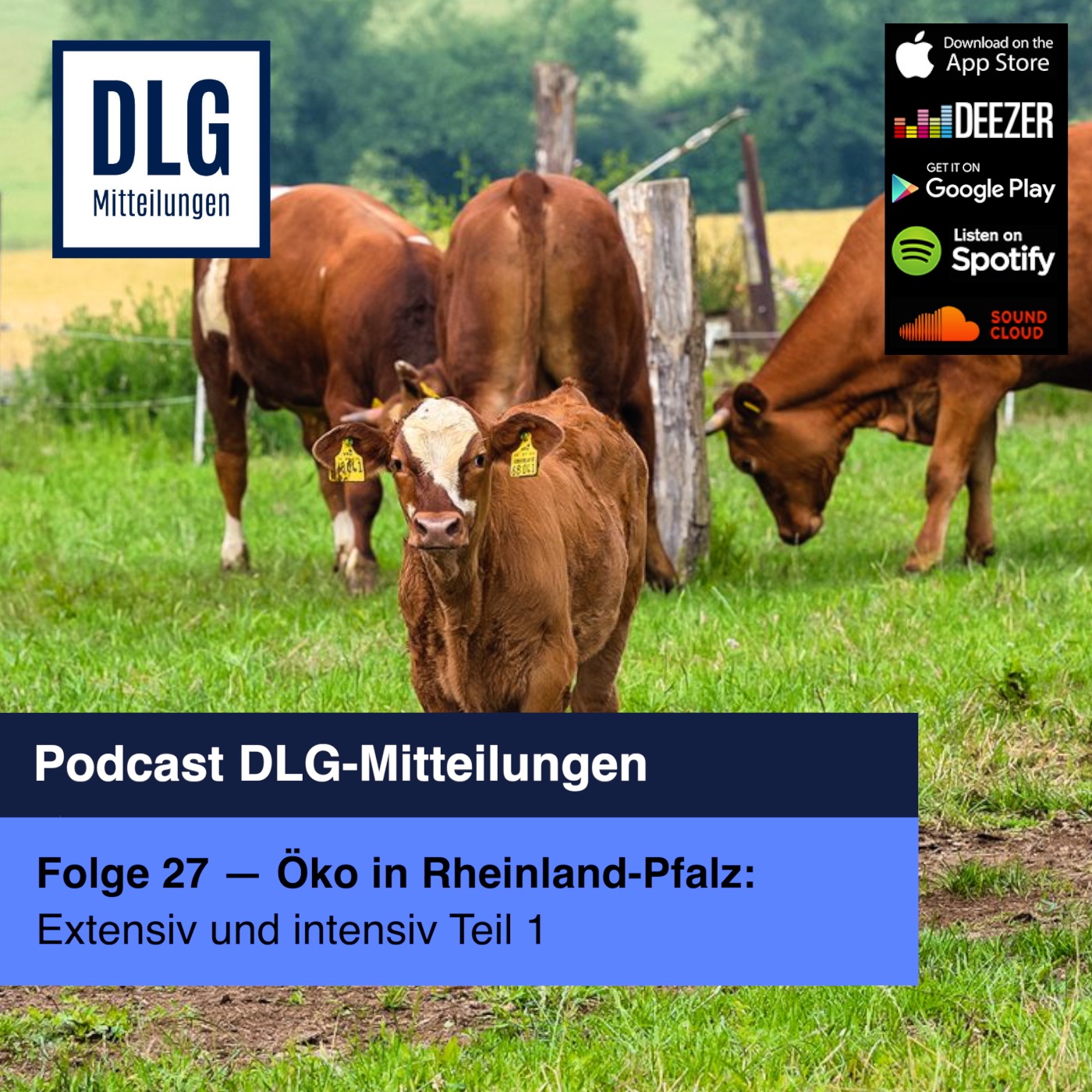 Öko in Rheinland-Pfalz: Extensives Grünland und Sonderkulturen (Teil 1) episode artwork