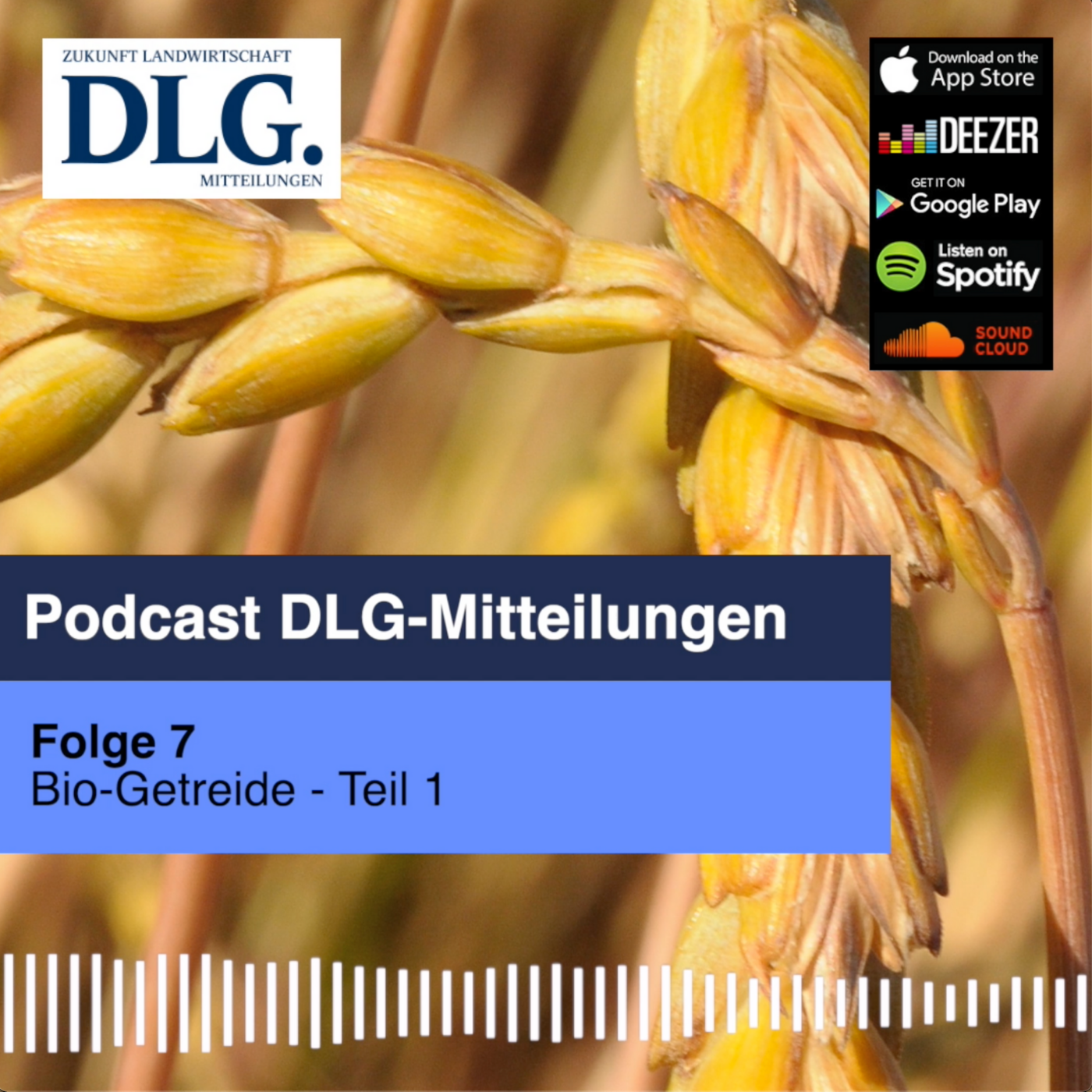Der Bio-Getreidemarkt vor der Ernte (Teil 1) episode artwork