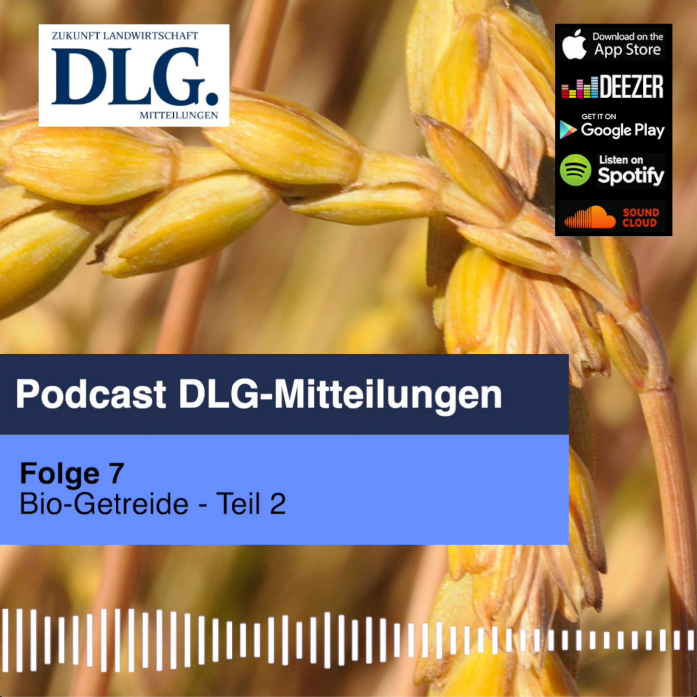 Der Bio-Getreidemarkt vor der Ernte (Teil 2) episode artwork