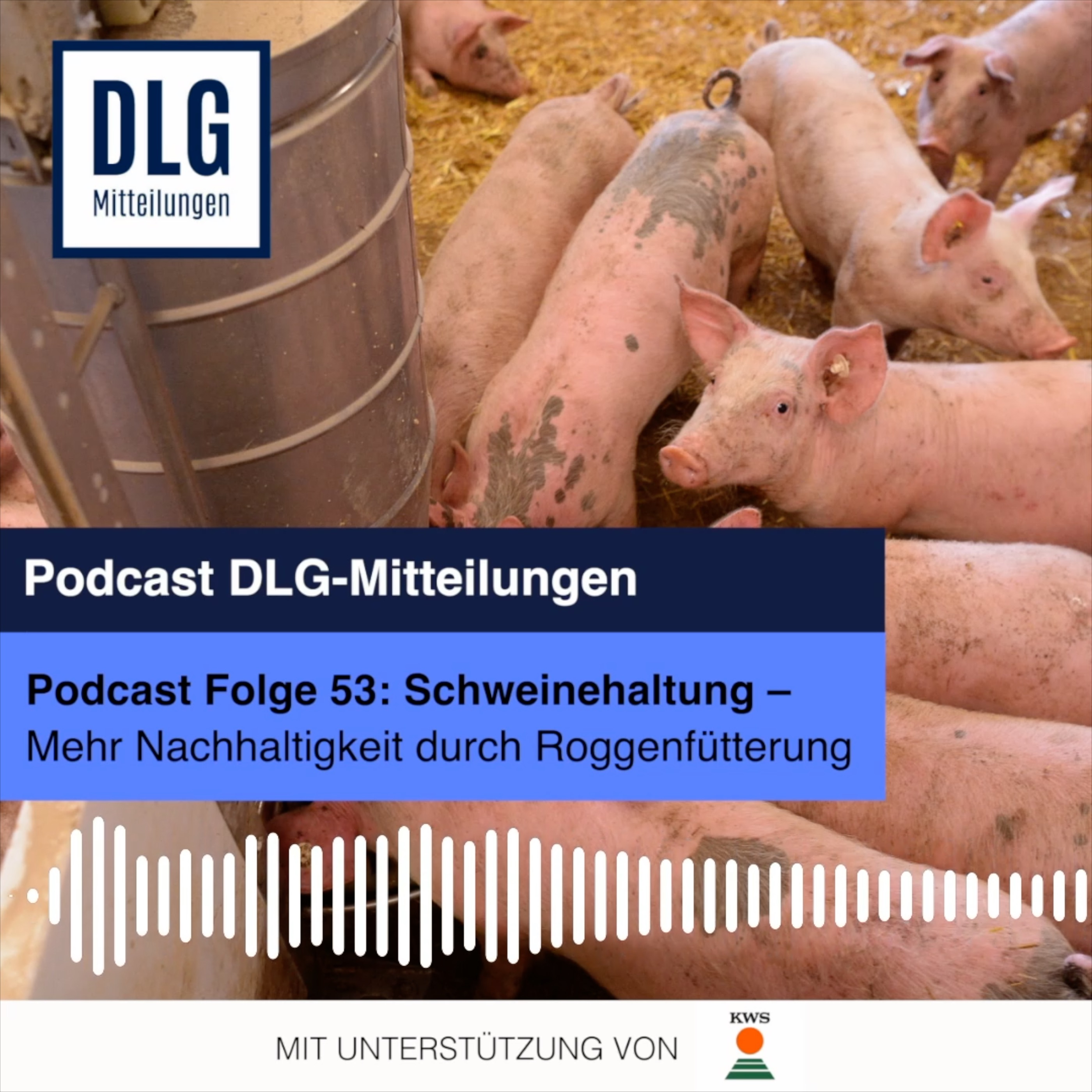 Schweinehaltung. Mehr Nachhaltigkeit durch Roggenfütterung episode artwork