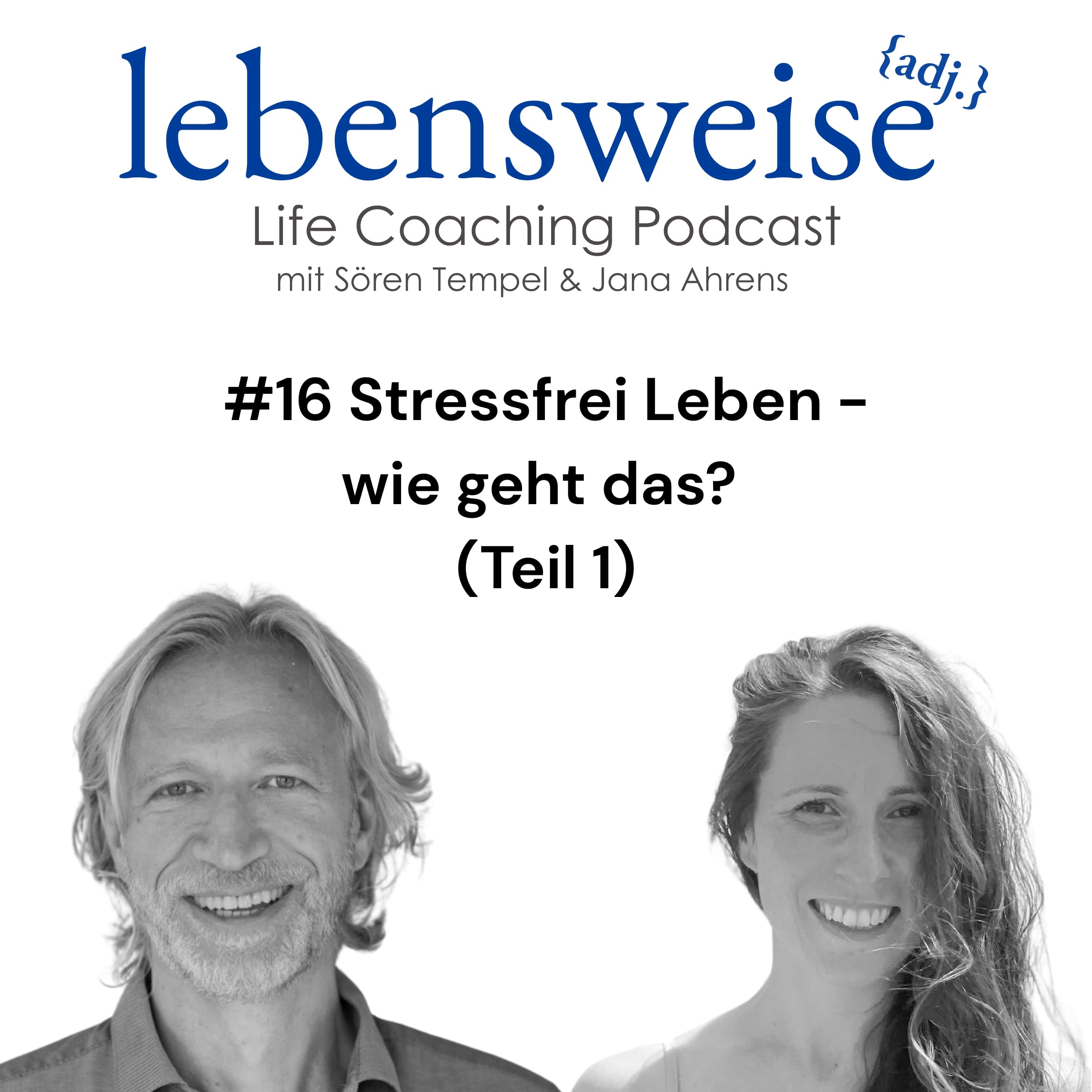 #16 Stressfrei Leben - wie geht das? (Teil 1) episode artwork