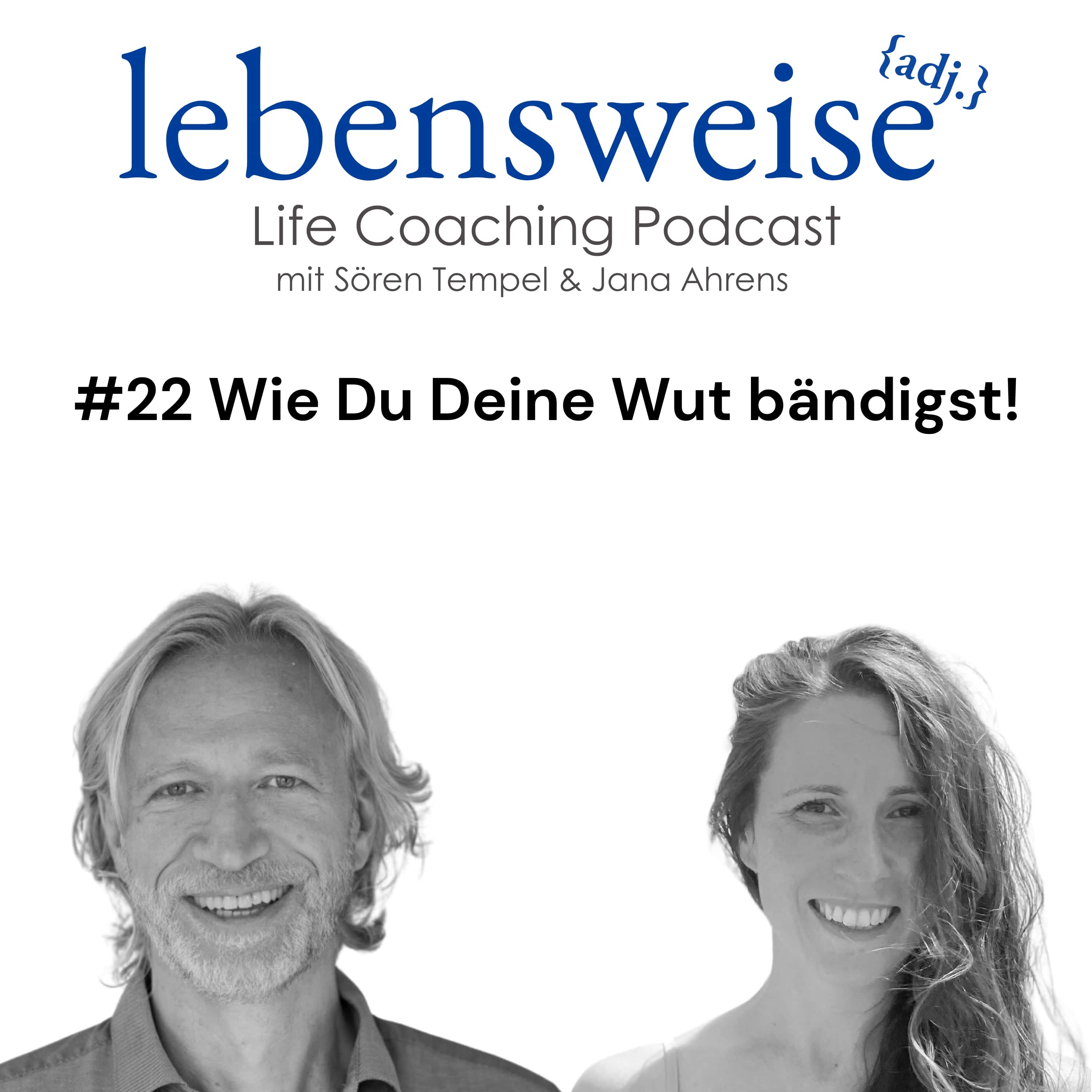 #22 Wie Du Deine Wut bändigst! episode artwork