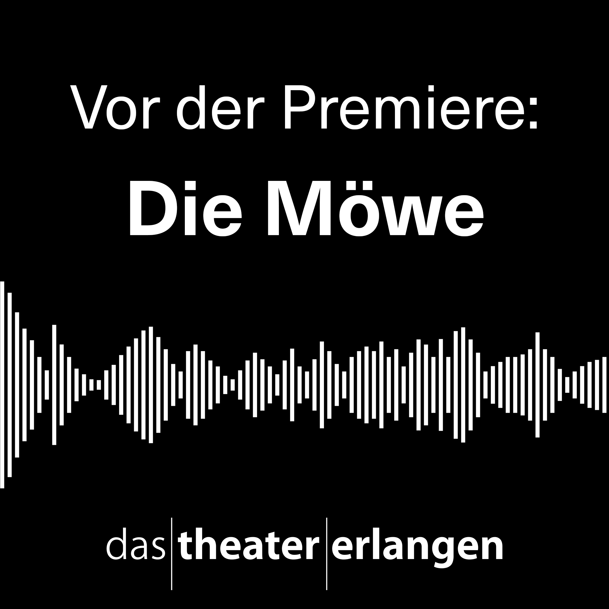 Die Möwe episode artwork