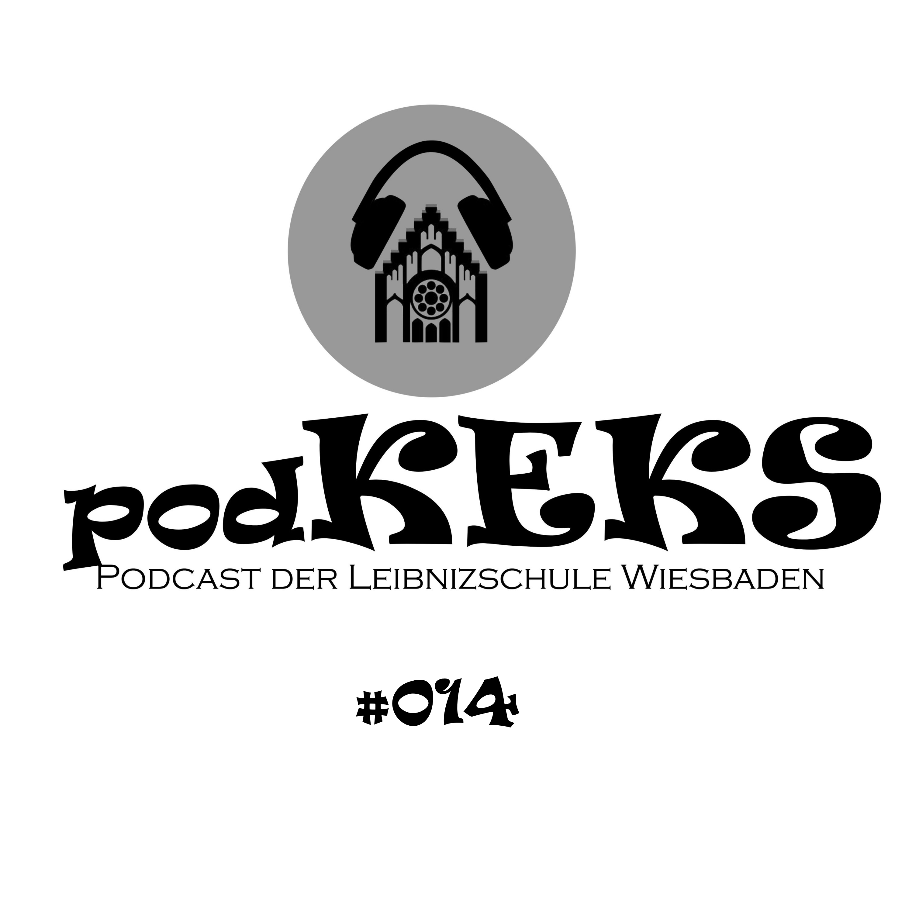 #014 episode artwork