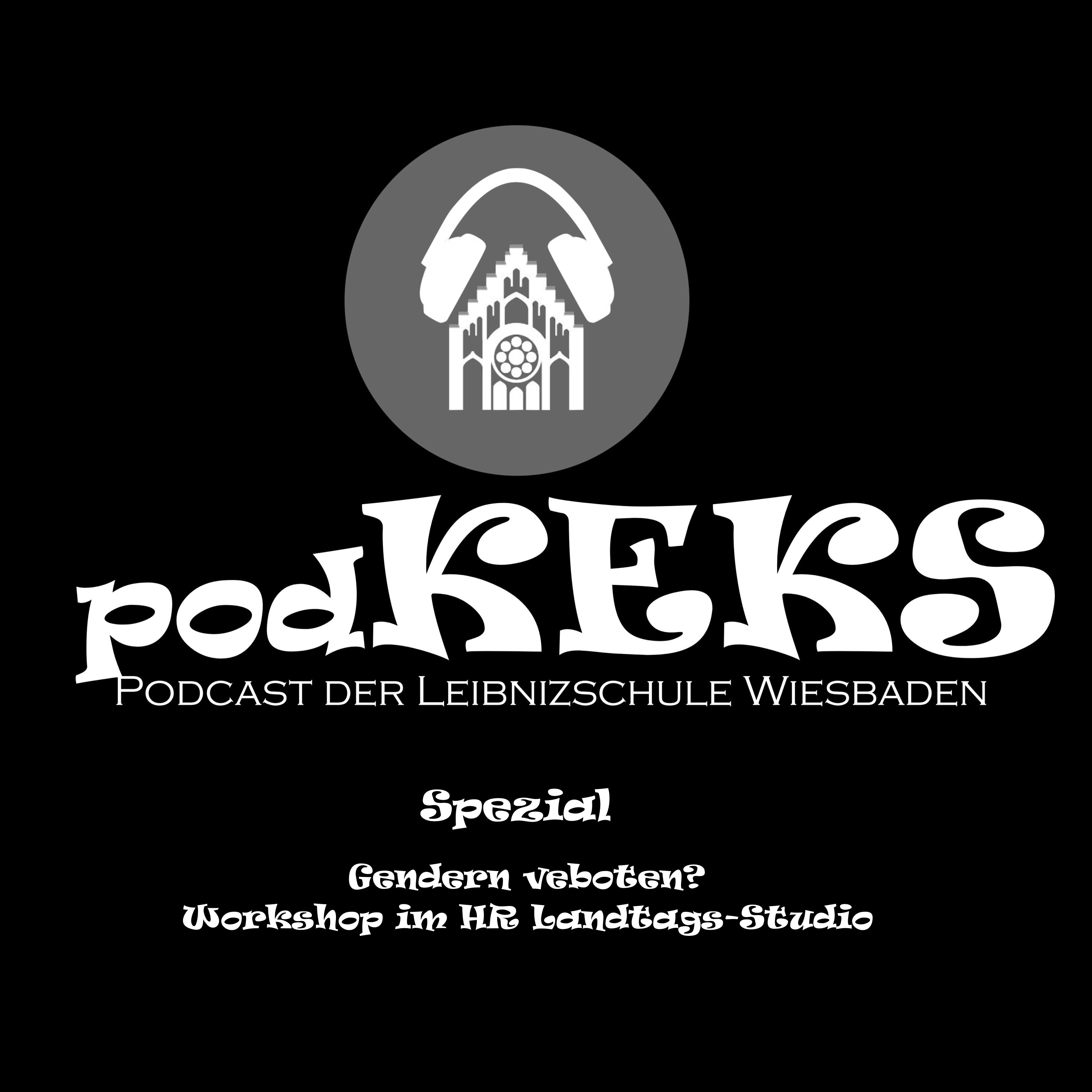 Spezial No.6- Im HR Landtagsstudio episode artwork