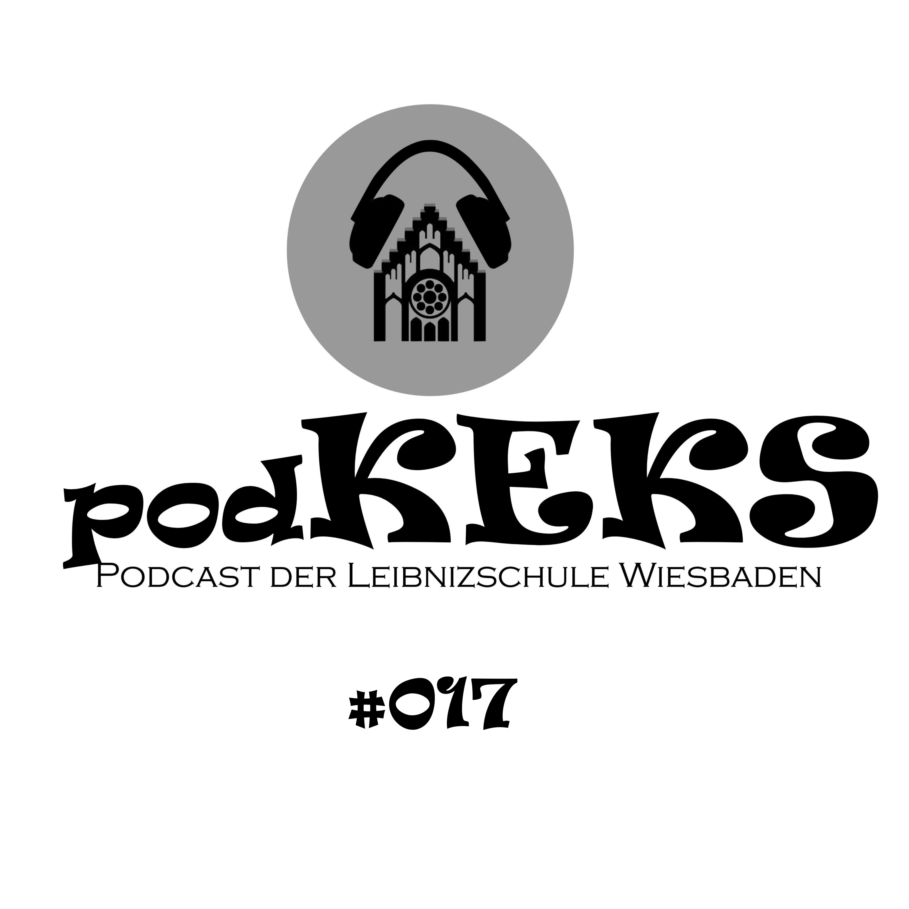 #017 episode artwork
