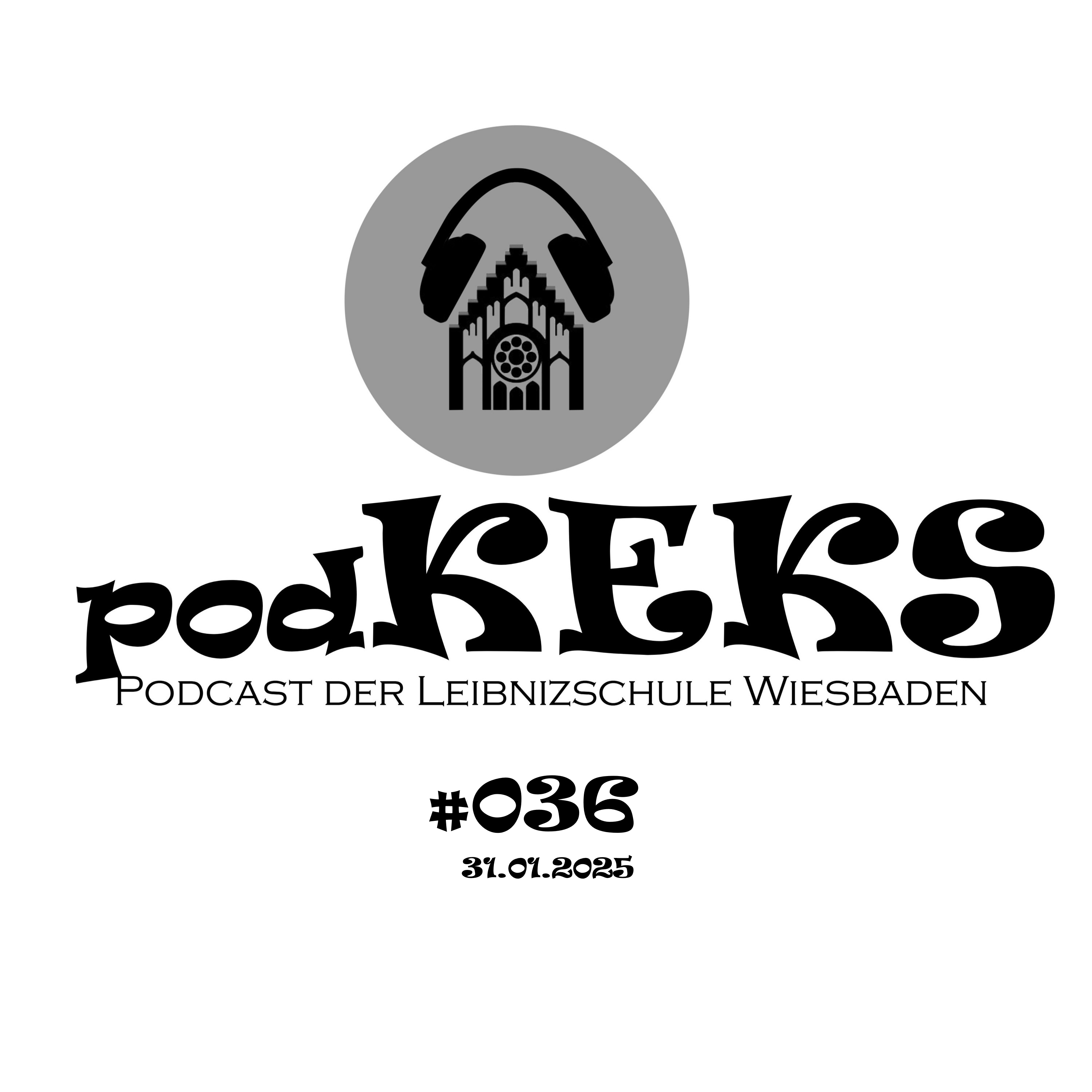 #036 episode artwork