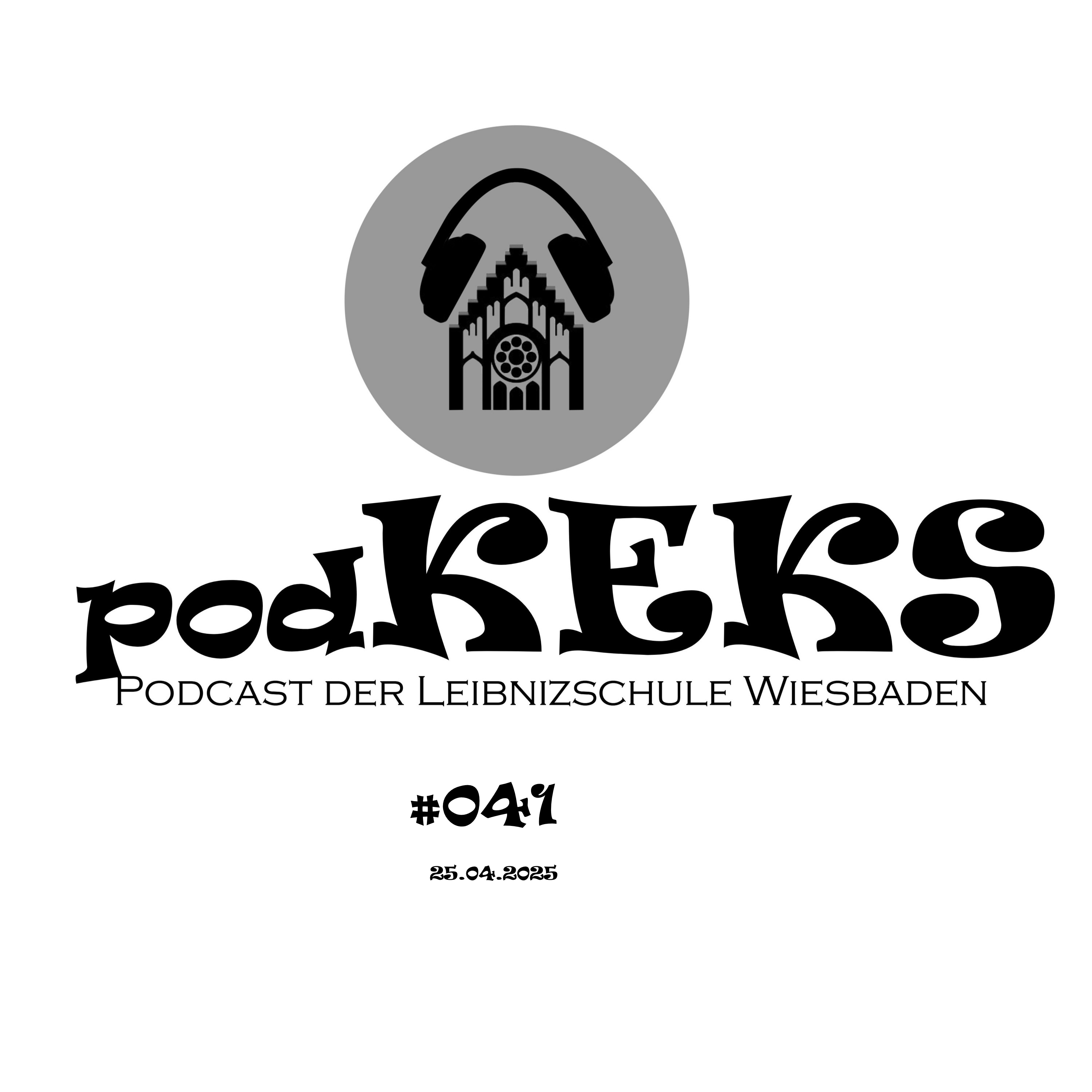 #041 episode artwork