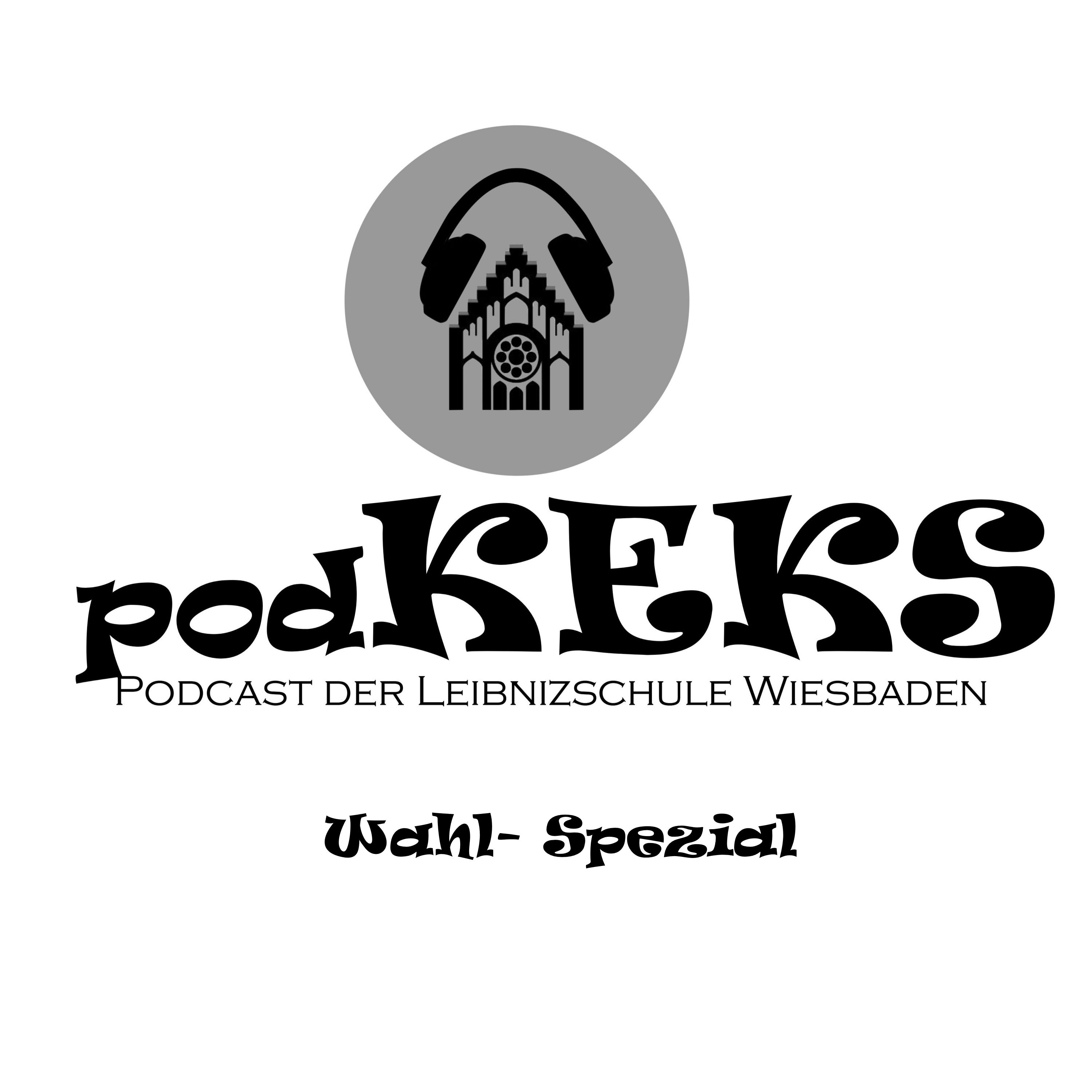 SV-Wahlen 2023 episode artwork