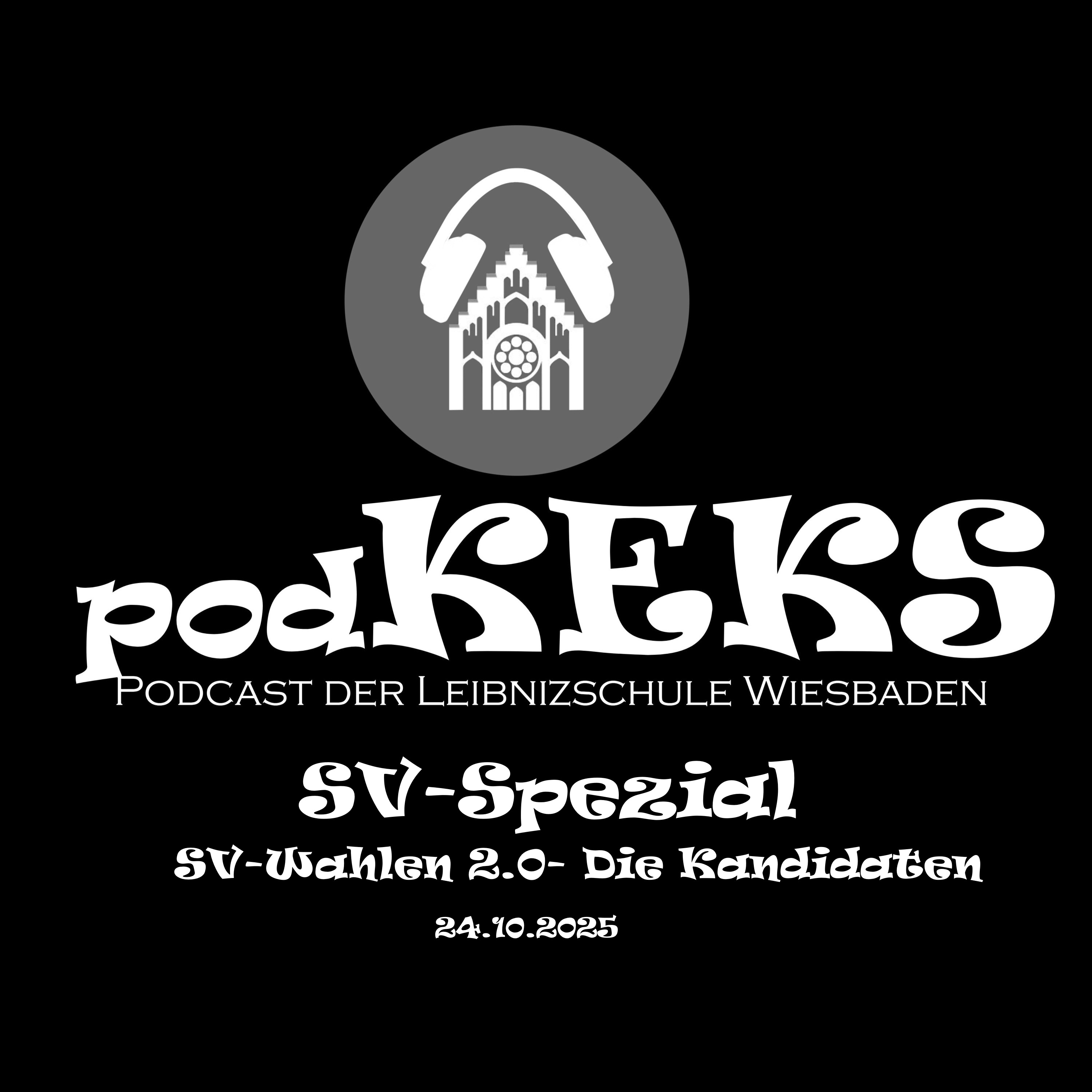 SV-Wahlen 2.0- Die Kandidaten episode artwork