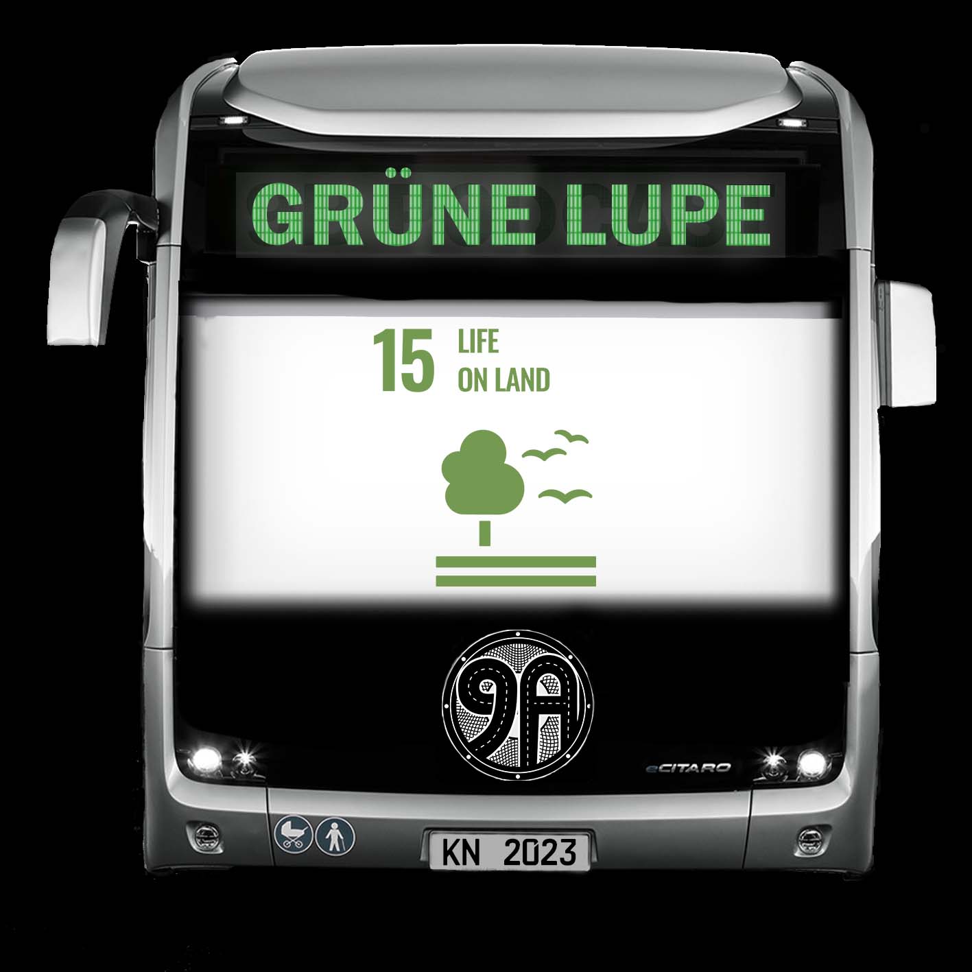 9A Spezial: Die Grüne Lupe - Leben an Land episode artwork