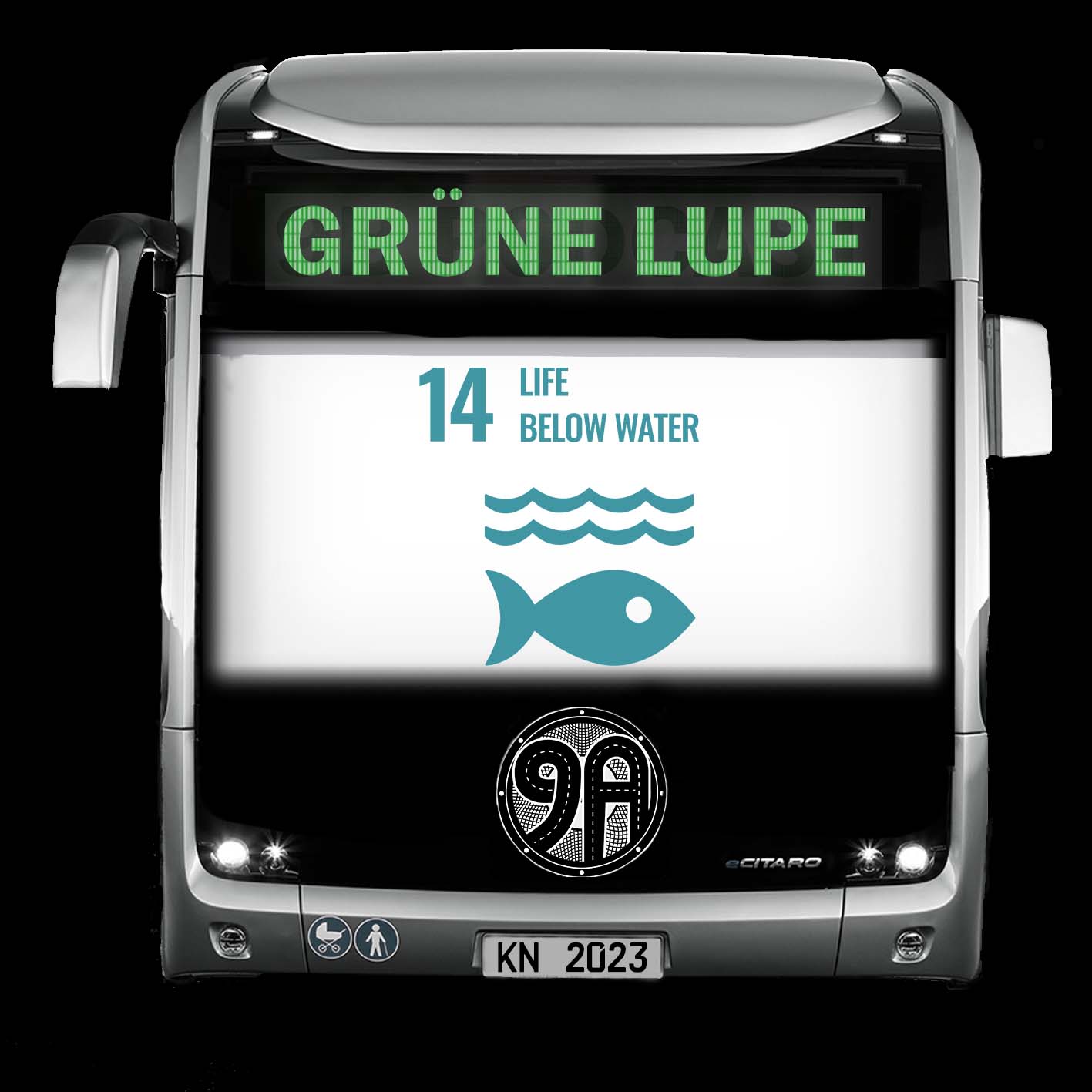 9A Spezial: Die Grüne Lupe - Leben unter Wasser episode artwork
