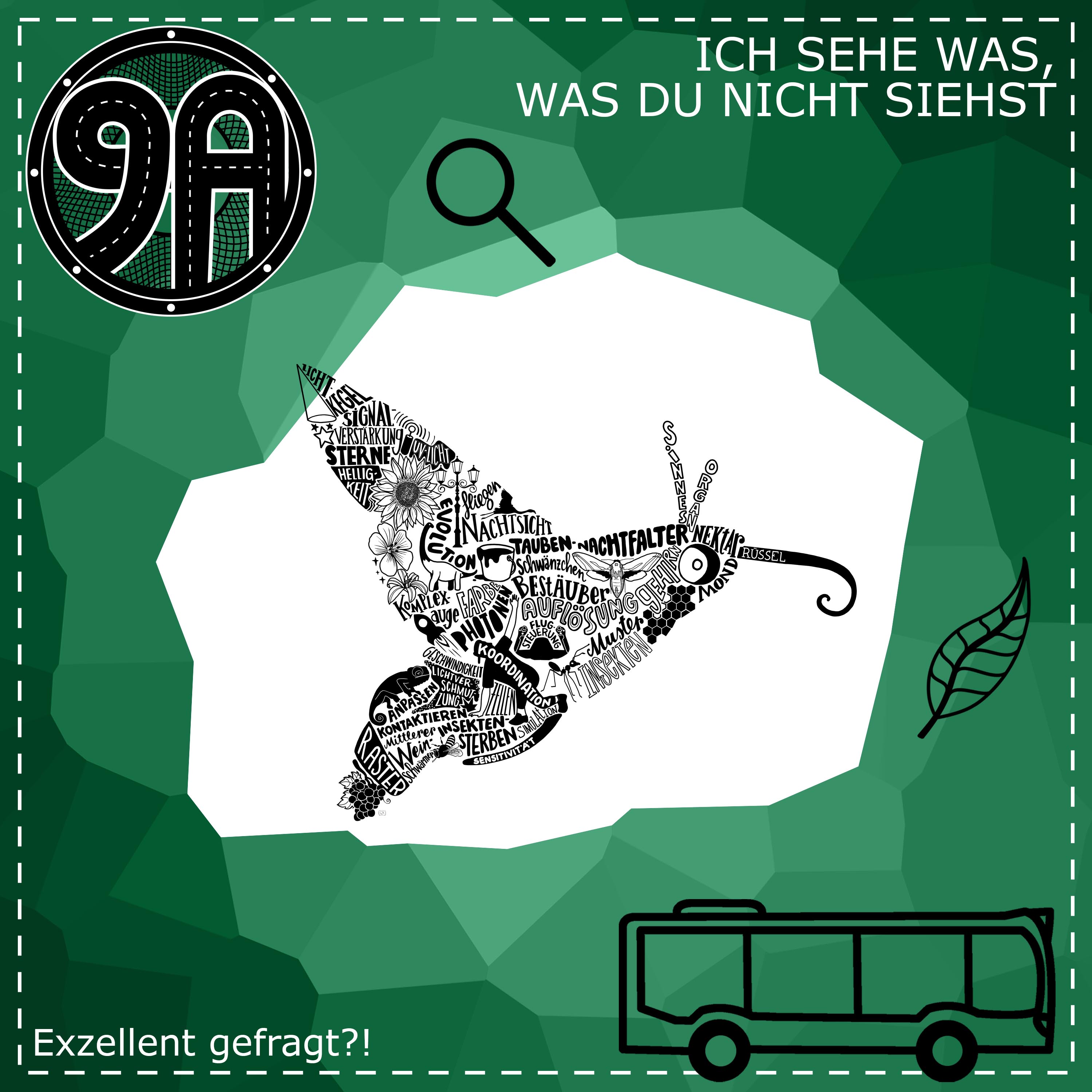 9A Spezial: Exzellent Gefragt 8 - Ich sehe was was du nicht siehst episode artwork