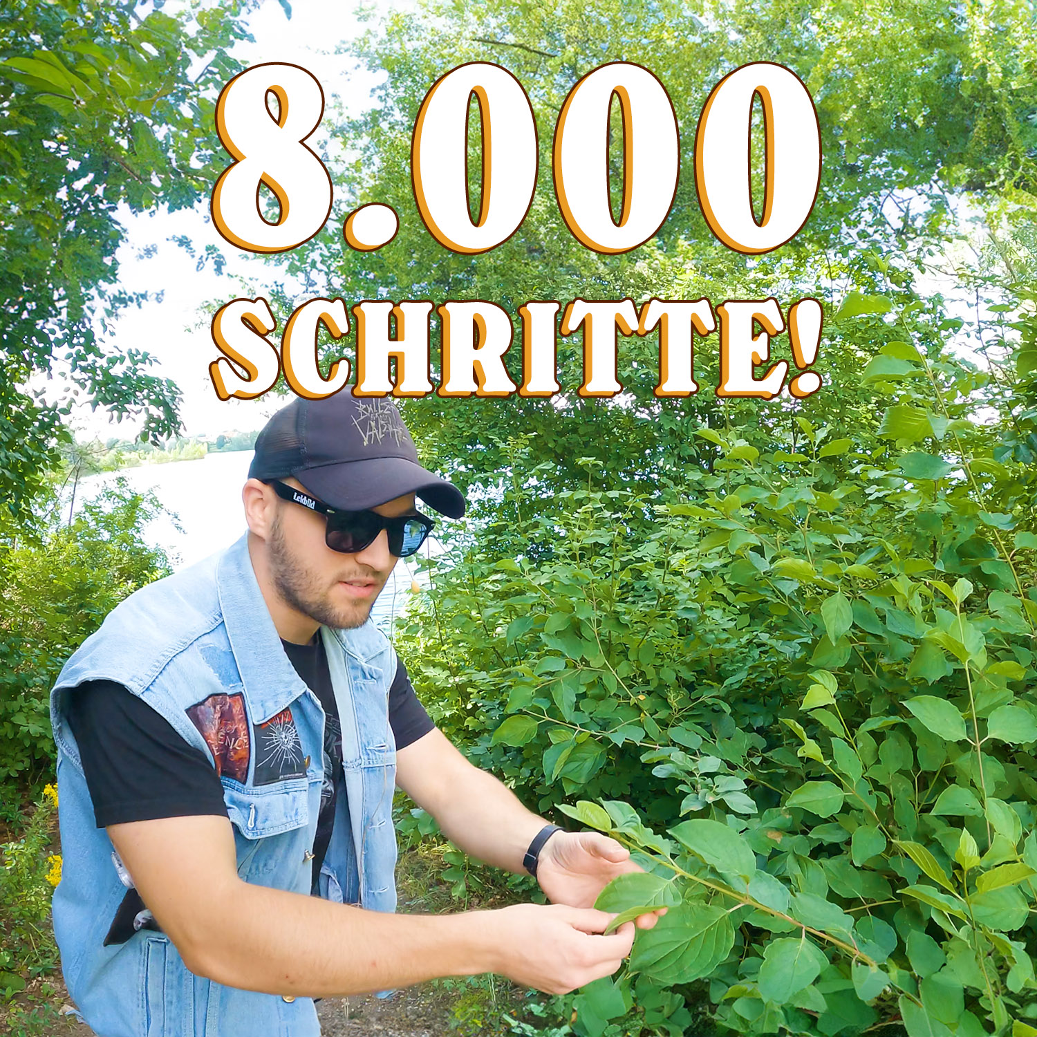 Wir erkunden die Natur mit Prof. Dr. Dr. Rischat | Schritt für Schritt: 8K episode artwork
