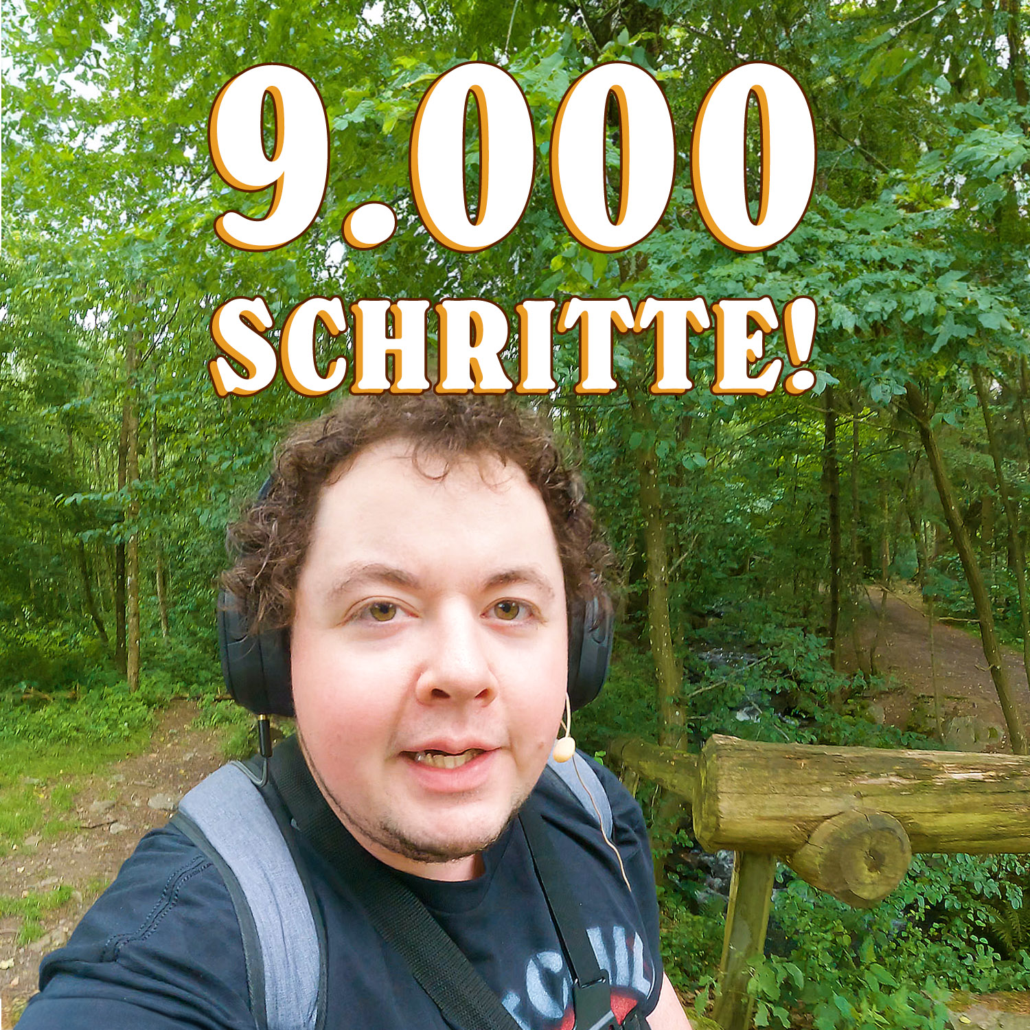 Wie die DB Regio mein Leben sabotiert hat. | Schritt für Schritt: 9K episode artwork