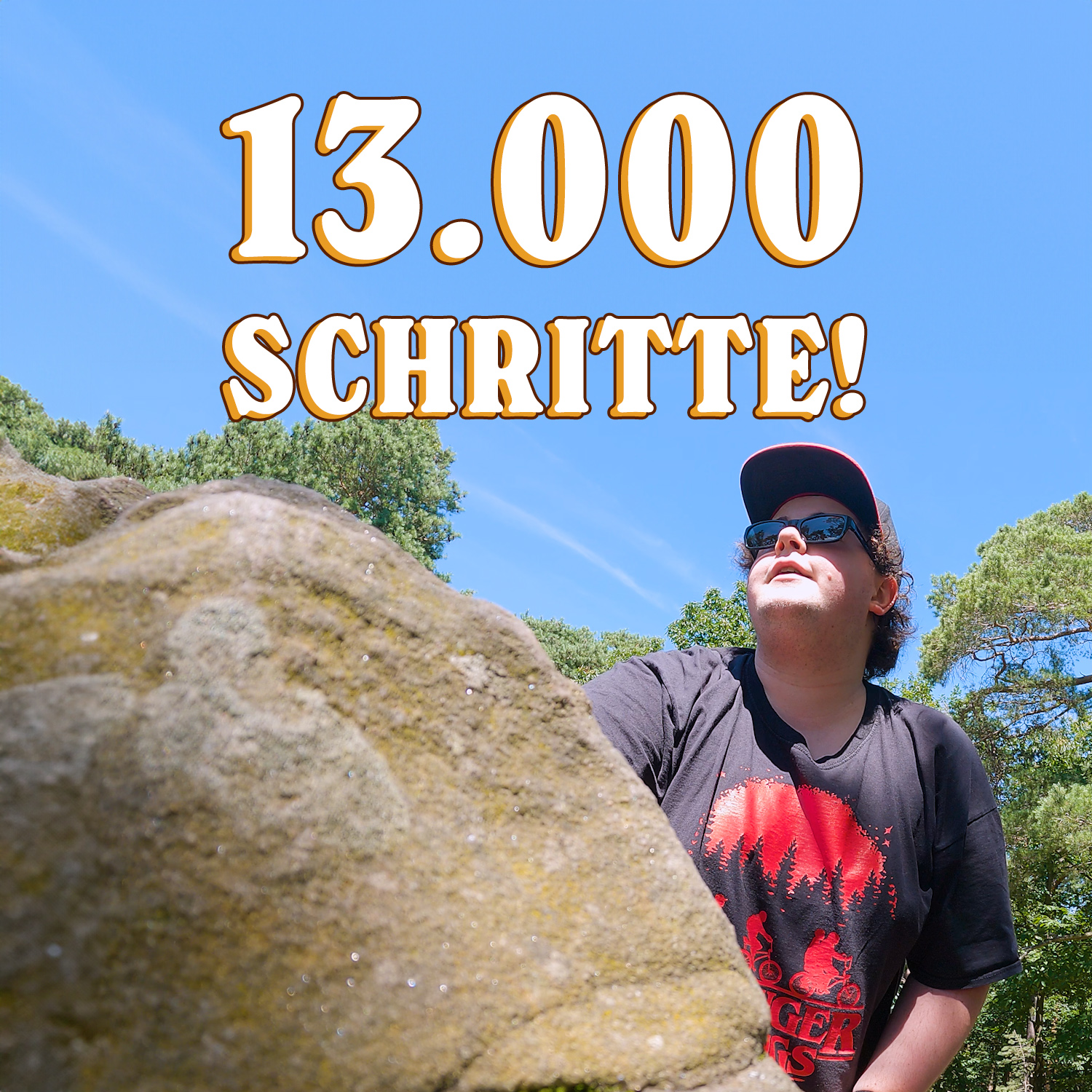 Mein Smartphone ist ein fucking Scam! | Schritt für Schritt: 13K episode artwork