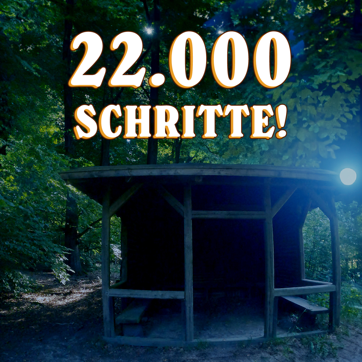 Ich wurde im Netto beleidigt und übernachte im Wald | Schritt für Schritt: 22K episode artwork