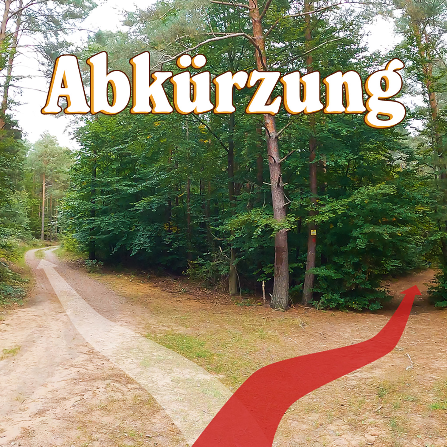 Wir müssen eine Abkürzung nehmen! | Schritt für Schritt: Update episode artwork