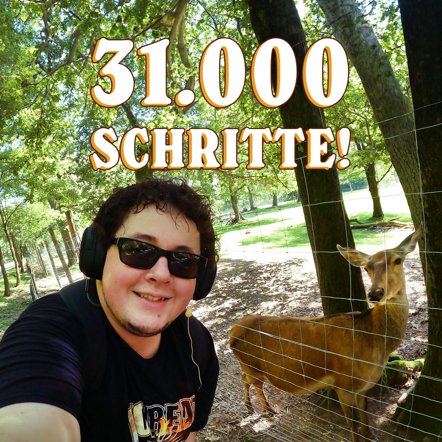 Warum bin ich denn jetzt im Saarland? | Schritt für Schritt: 31K episode artwork